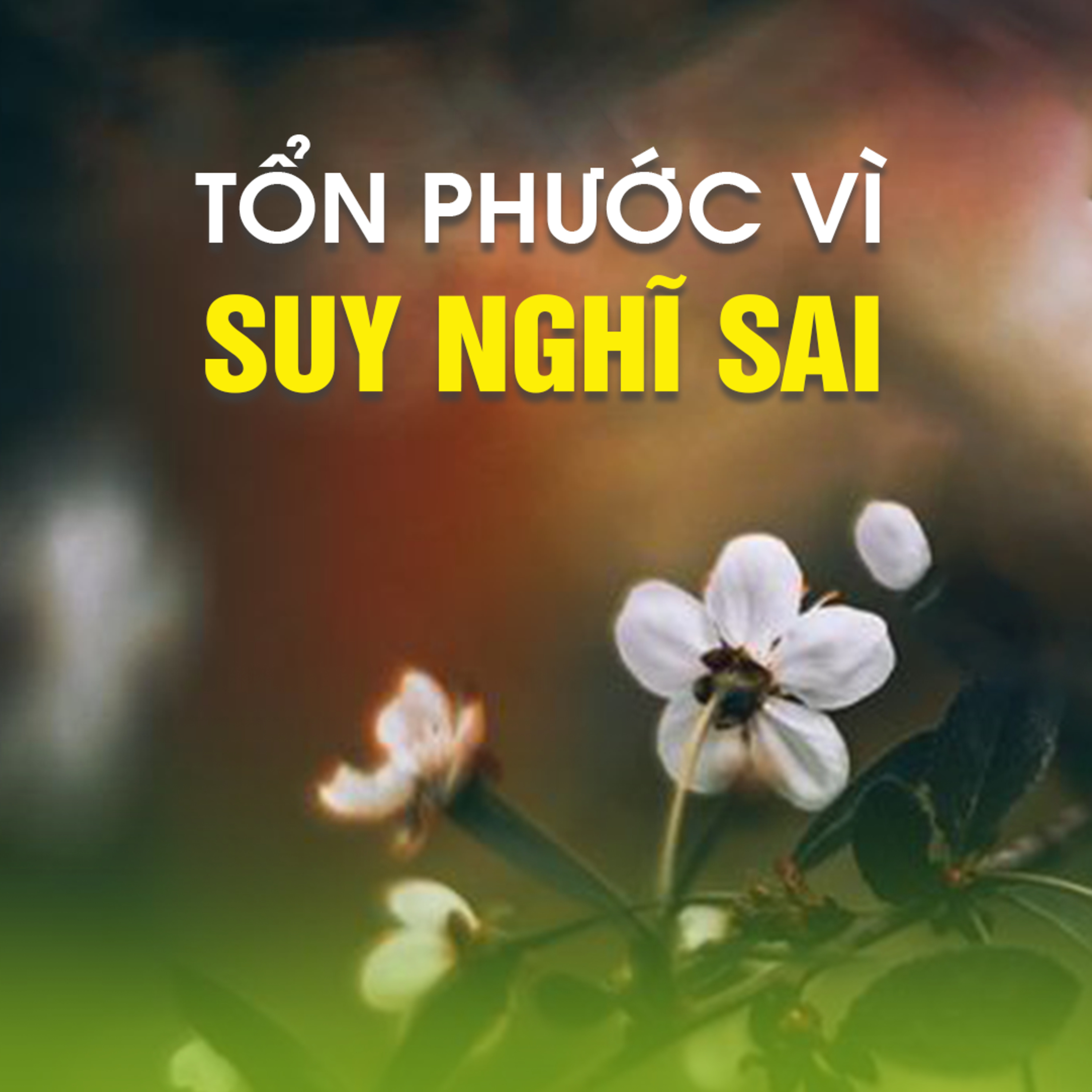 TỔN PHƯỚC VÌ NGHĨ SAI - Pháp Cú 60 | TT. TS. Thích Chân Quang episode artwork