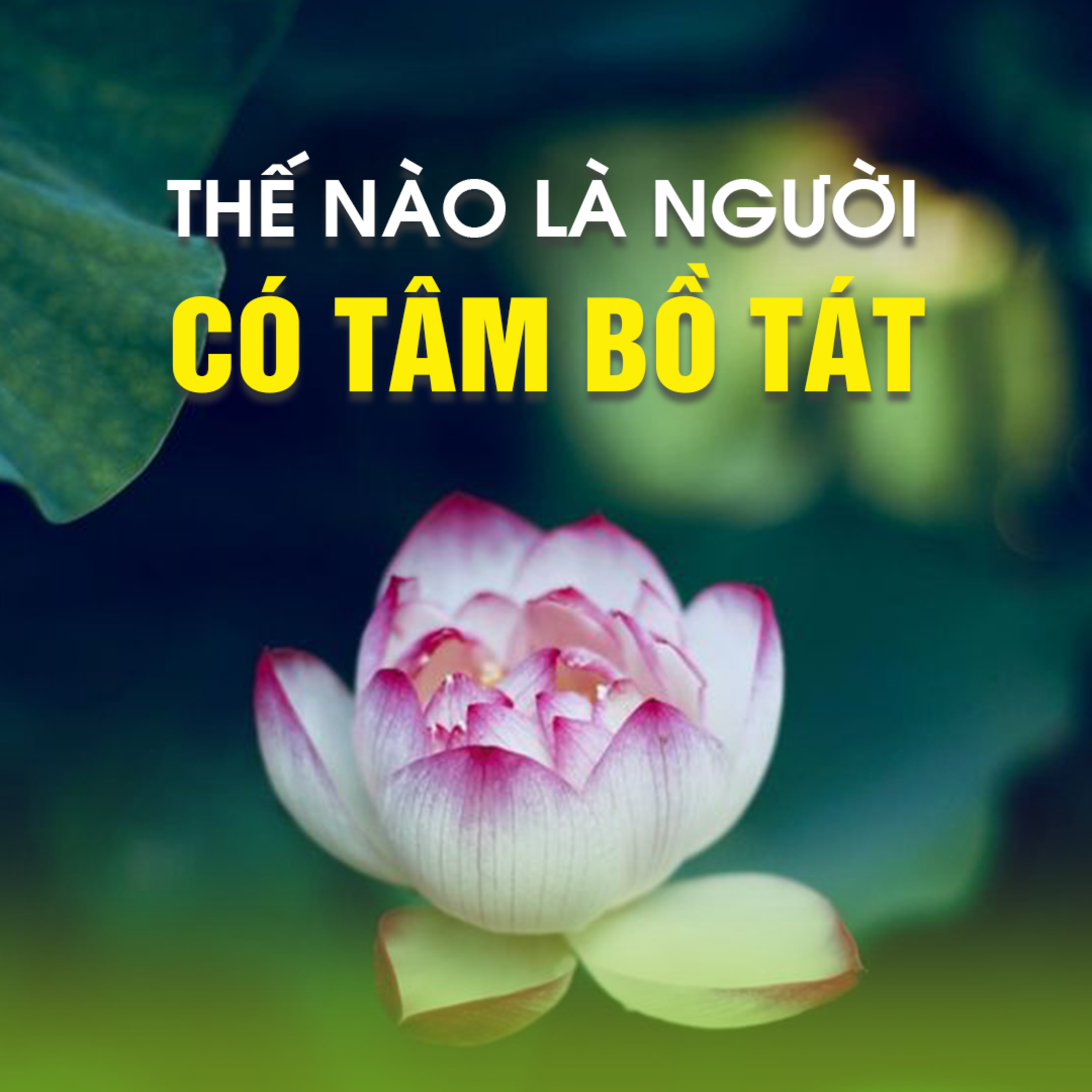 THẾ NÀO LÀ NGƯỜI CÓ TÂM BỒ TÁT | TT. TS. Thích Chân Quang episode artwork