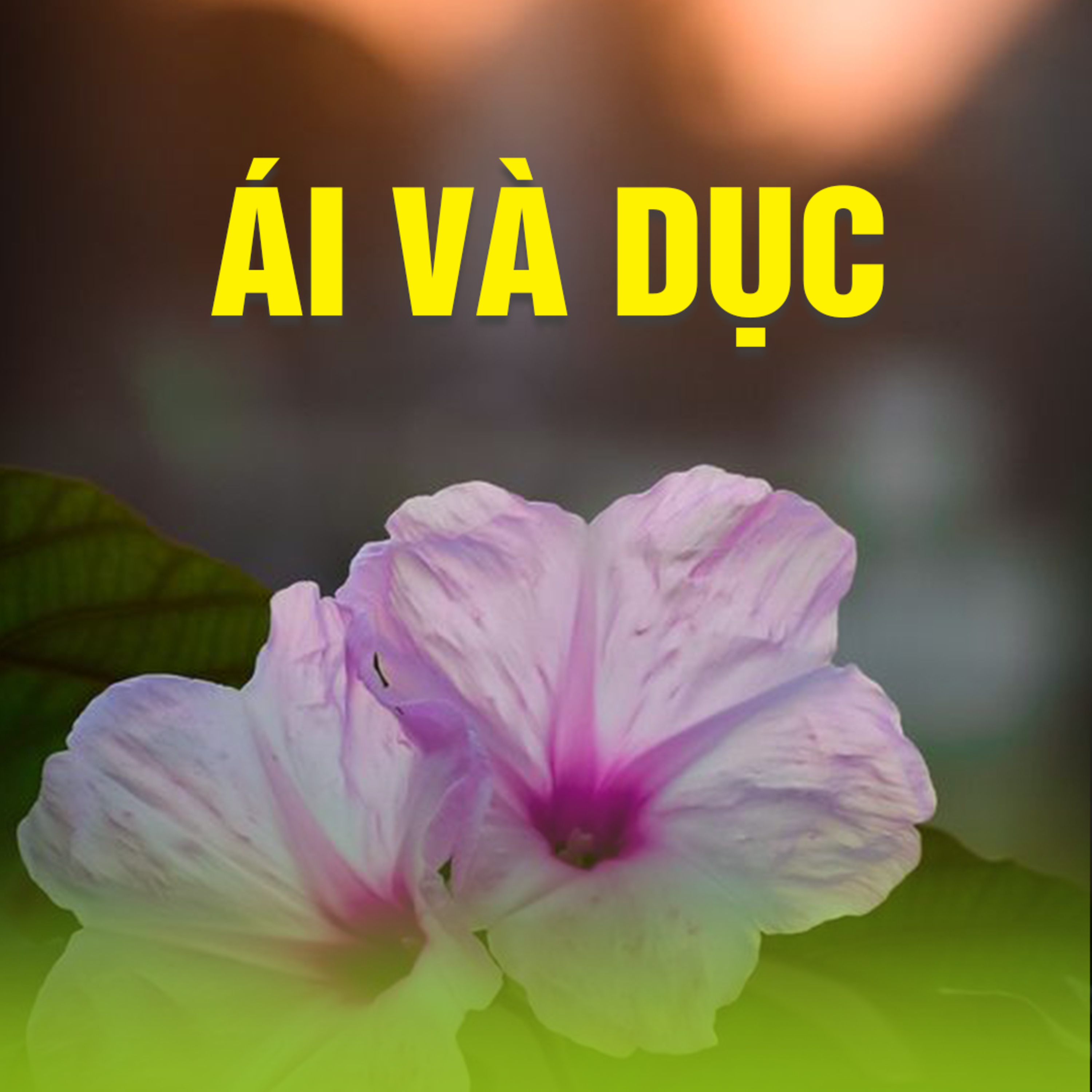 ÁI VÀ DỤC 1/2 | TT. TS. Thích Chân Quang episode artwork