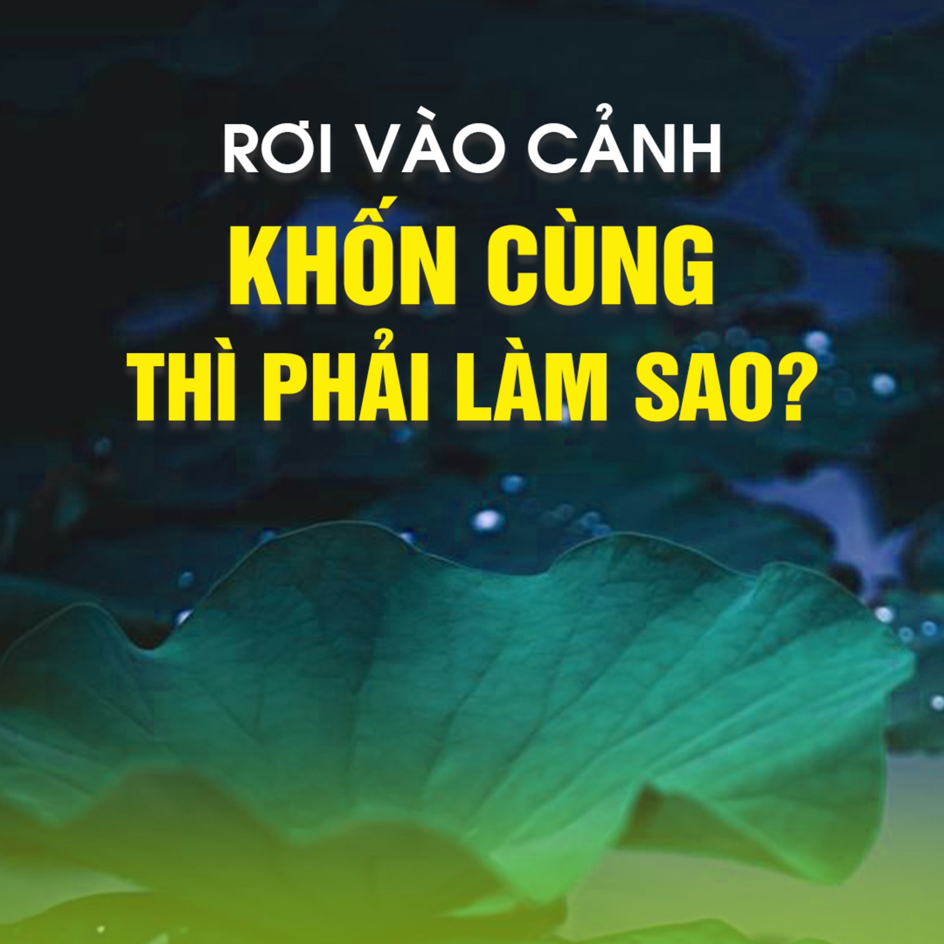 RƠI VÀO CẢNH KHỐN CÙNG PHẢI LÀM SAO? | TT.TS Thích Chân Quang episode artwork