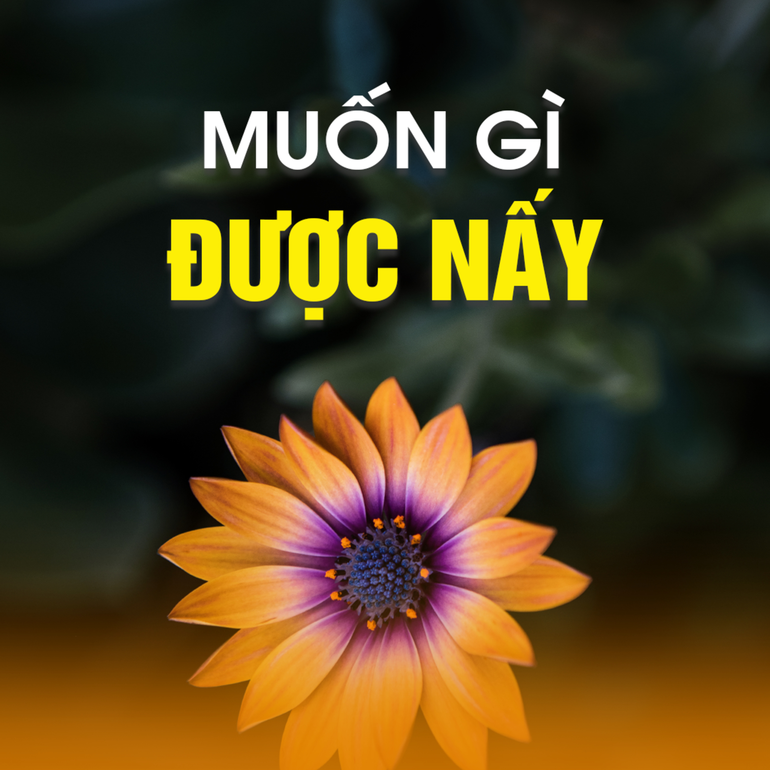 MUỐN GÌ ĐƯỢC NẤY | TT. TS. Thích Chân Quang episode artwork
