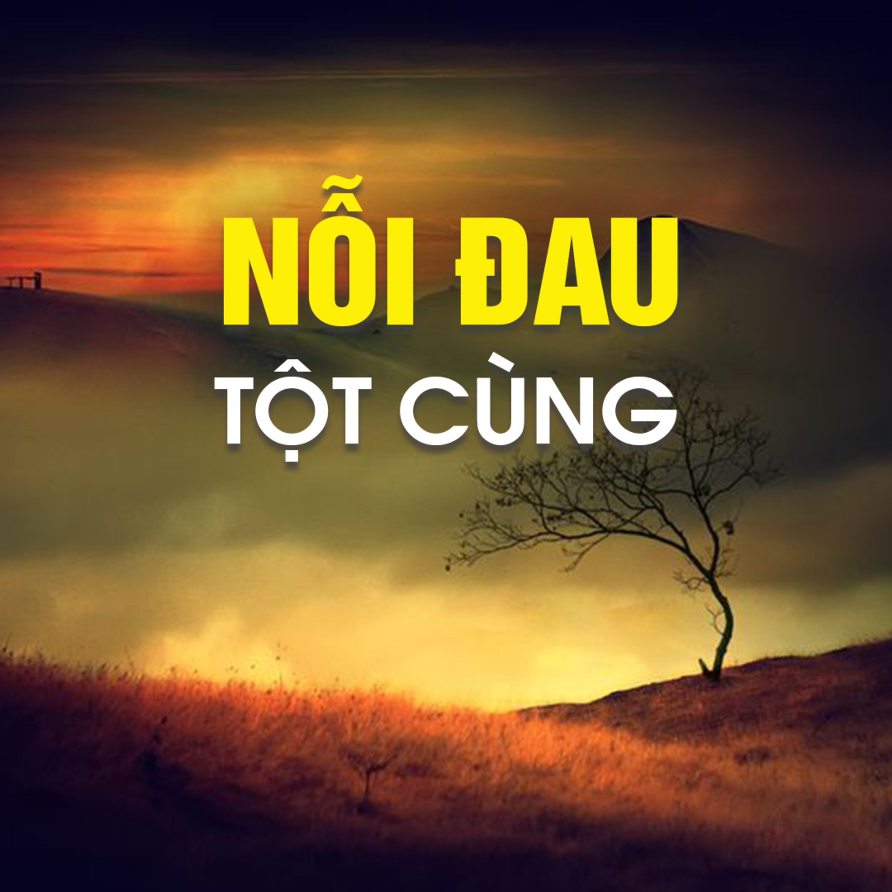 NỖI ĐAU TỘT CÙNG - Pháp Cú 39 | TT. TS. Thích Chân Quang episode artwork