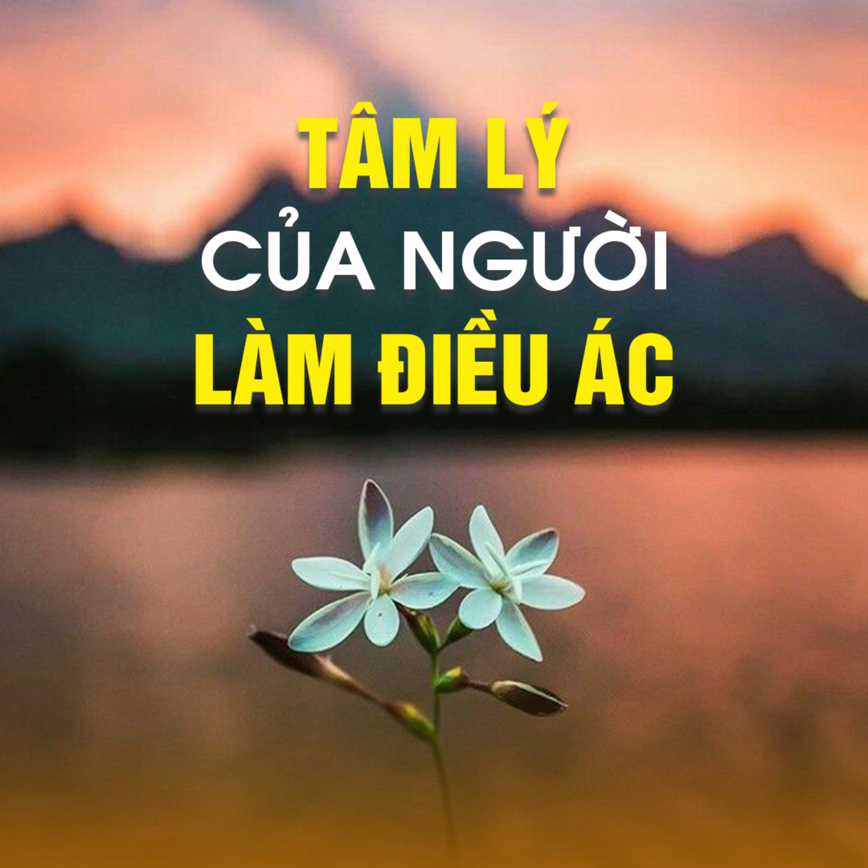 TÂM LÝ CỦA NGƯỜI LÀM ĐIỀU ÁC | TT. TS. Thích Chân Quang episode artwork