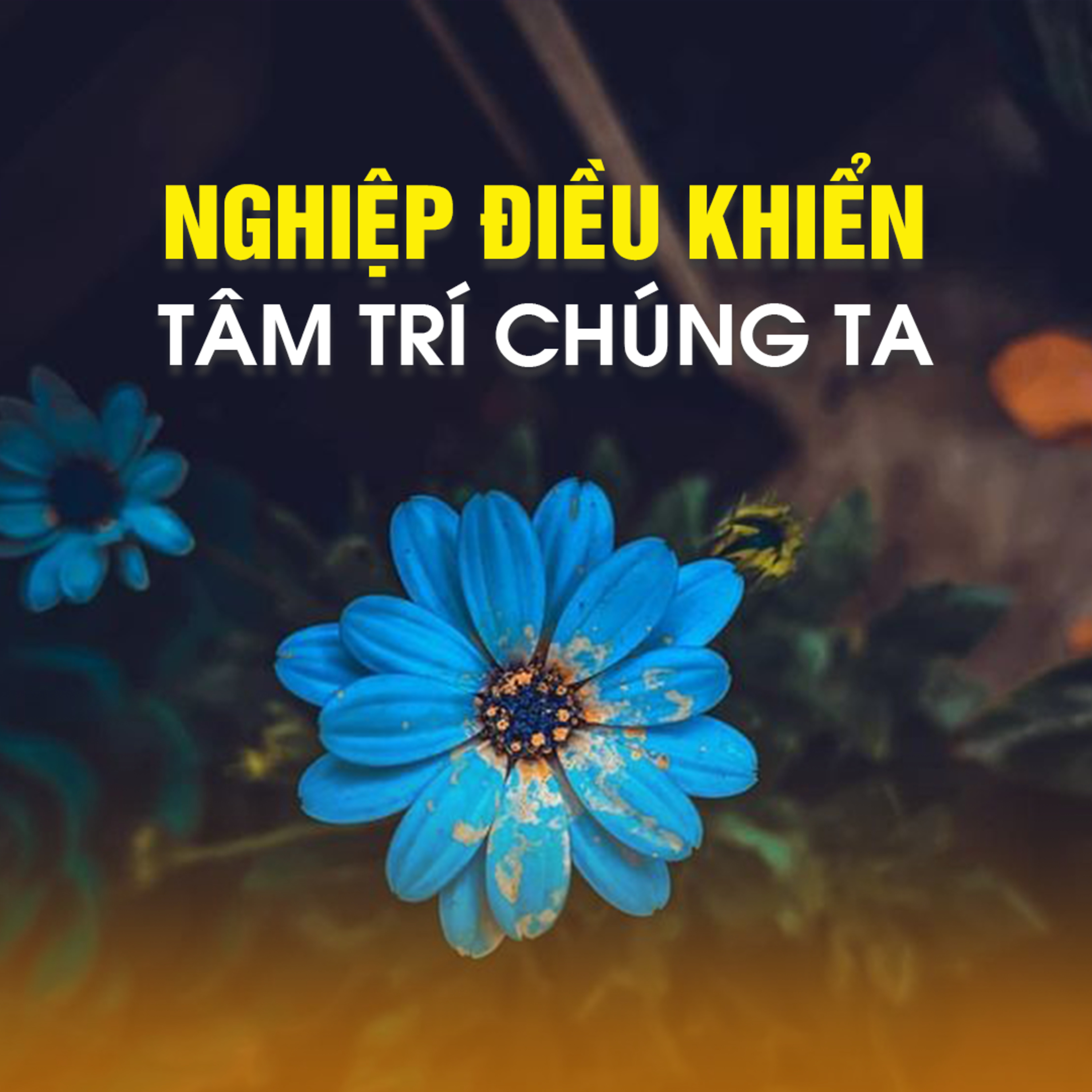 NGHIỆP ĐIỀU KHIỂN TÂM TRÍ CHÚNG TA | TT. TS. Thích Chân Quang episode artwork