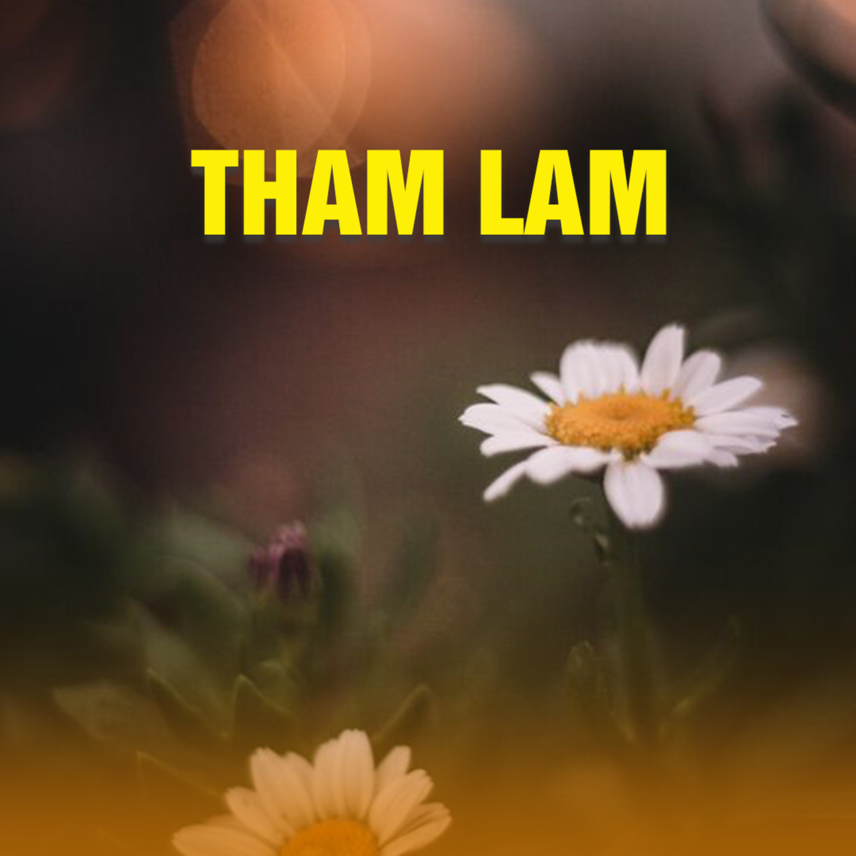 THAM LAM | TT. TS. Thích Chân Quang episode artwork