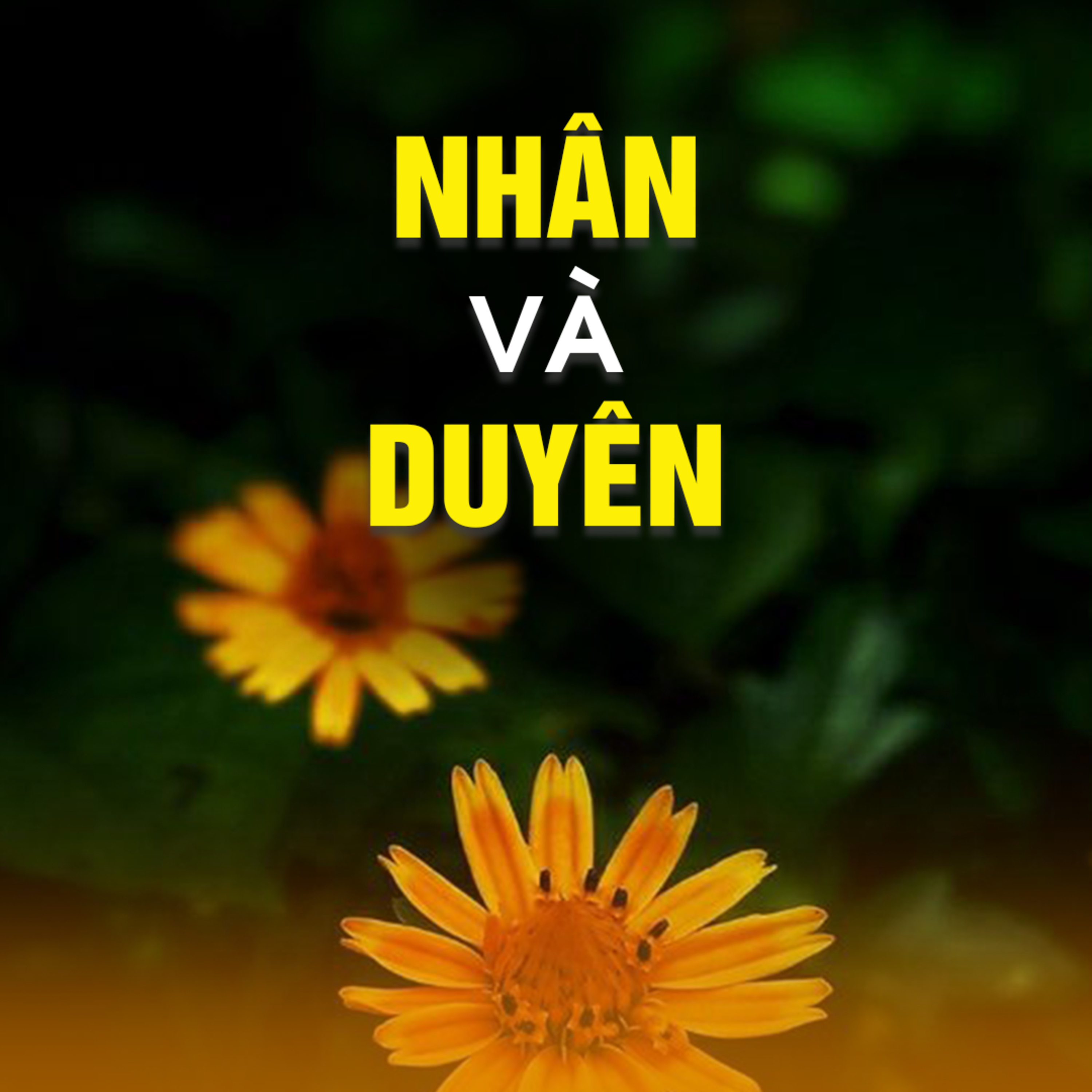 NHÂN VÀ DUYÊN | TT. TS. Thích Chân Quang episode artwork