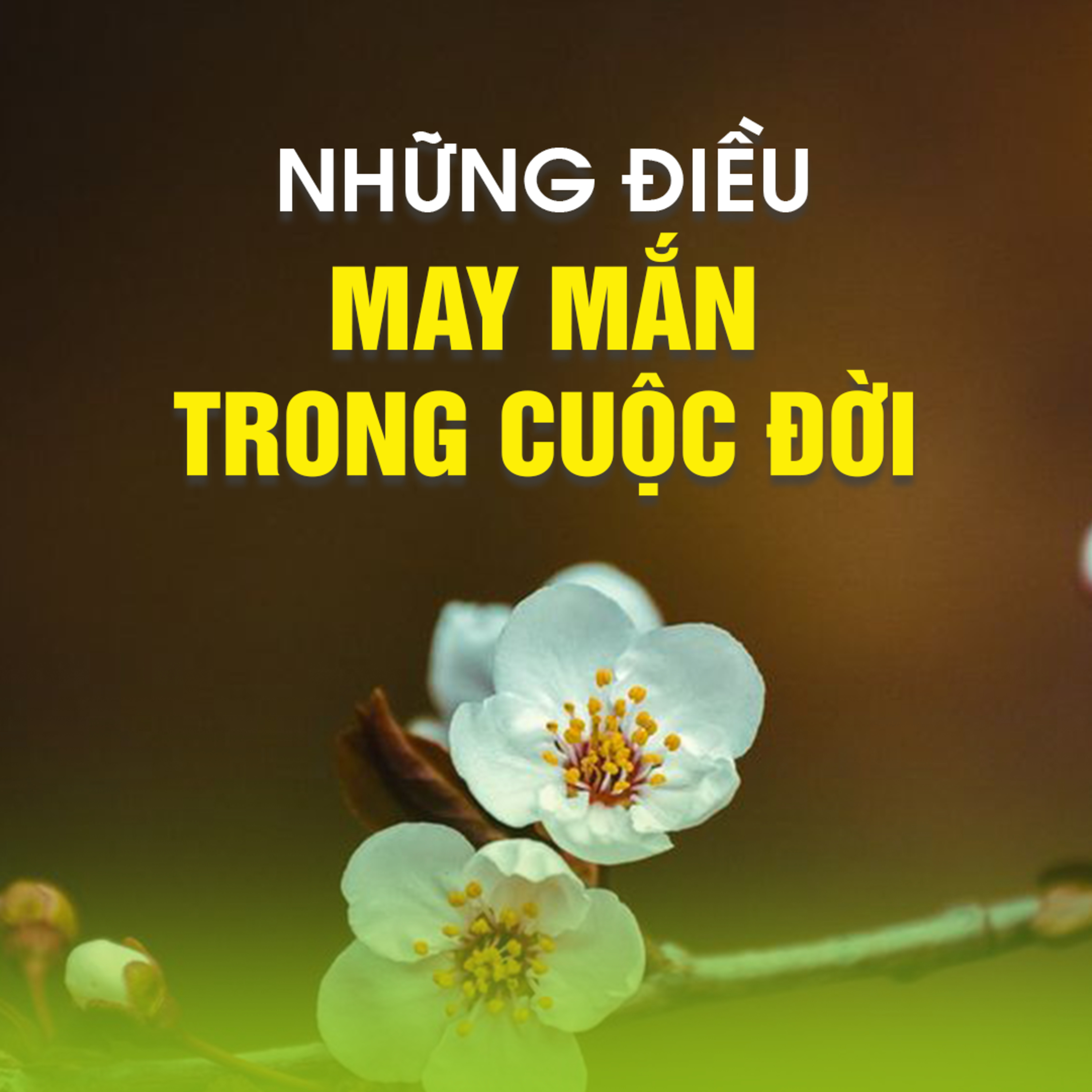 NHỮNG ĐIỀU MAY MẮN TRONG CUỘC ĐỜI | TT. TS. Thích Chân Quang