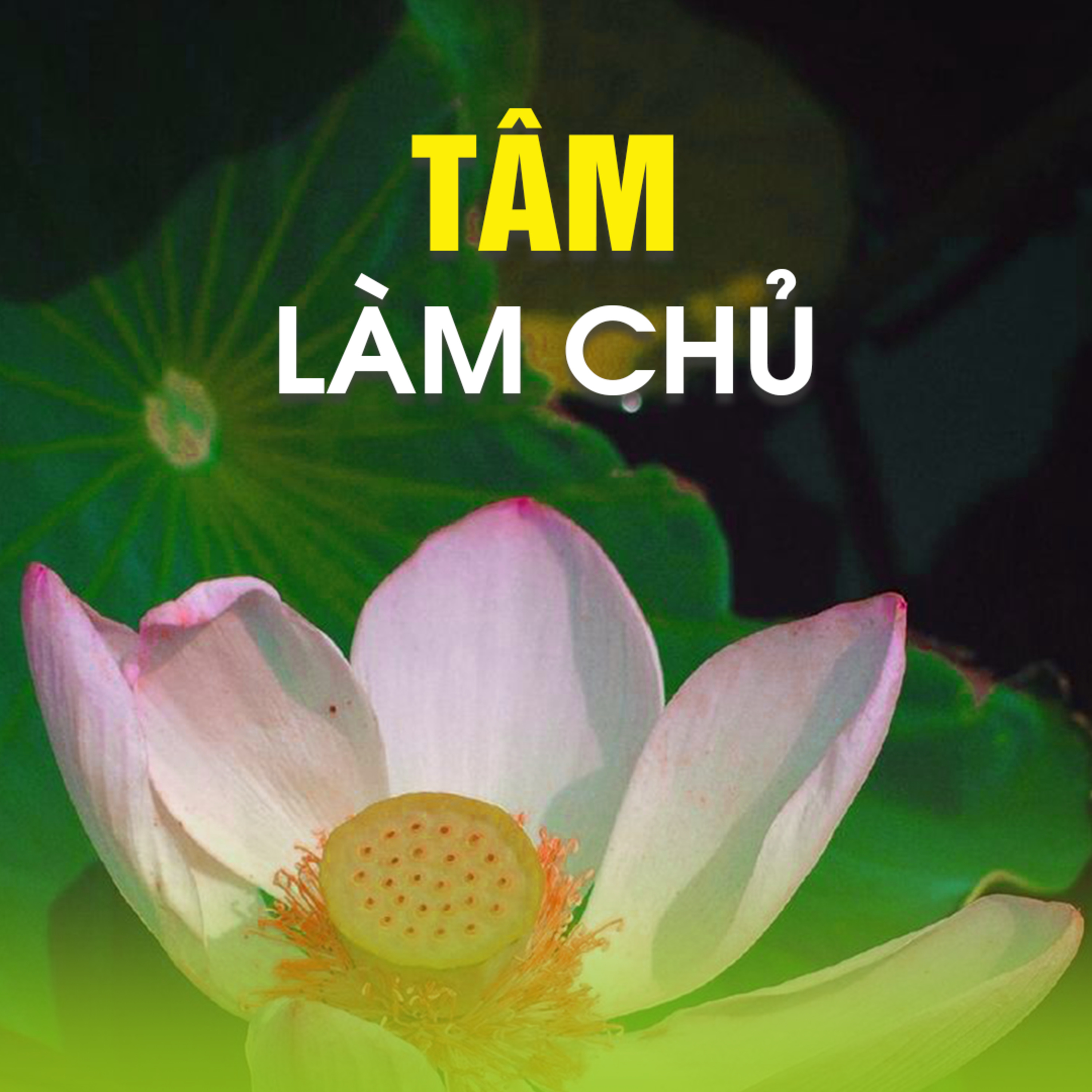 TÂM LÀM CHỦ - Pháp Cú 01 | TT. TS. Thích Chân Quang episode artwork