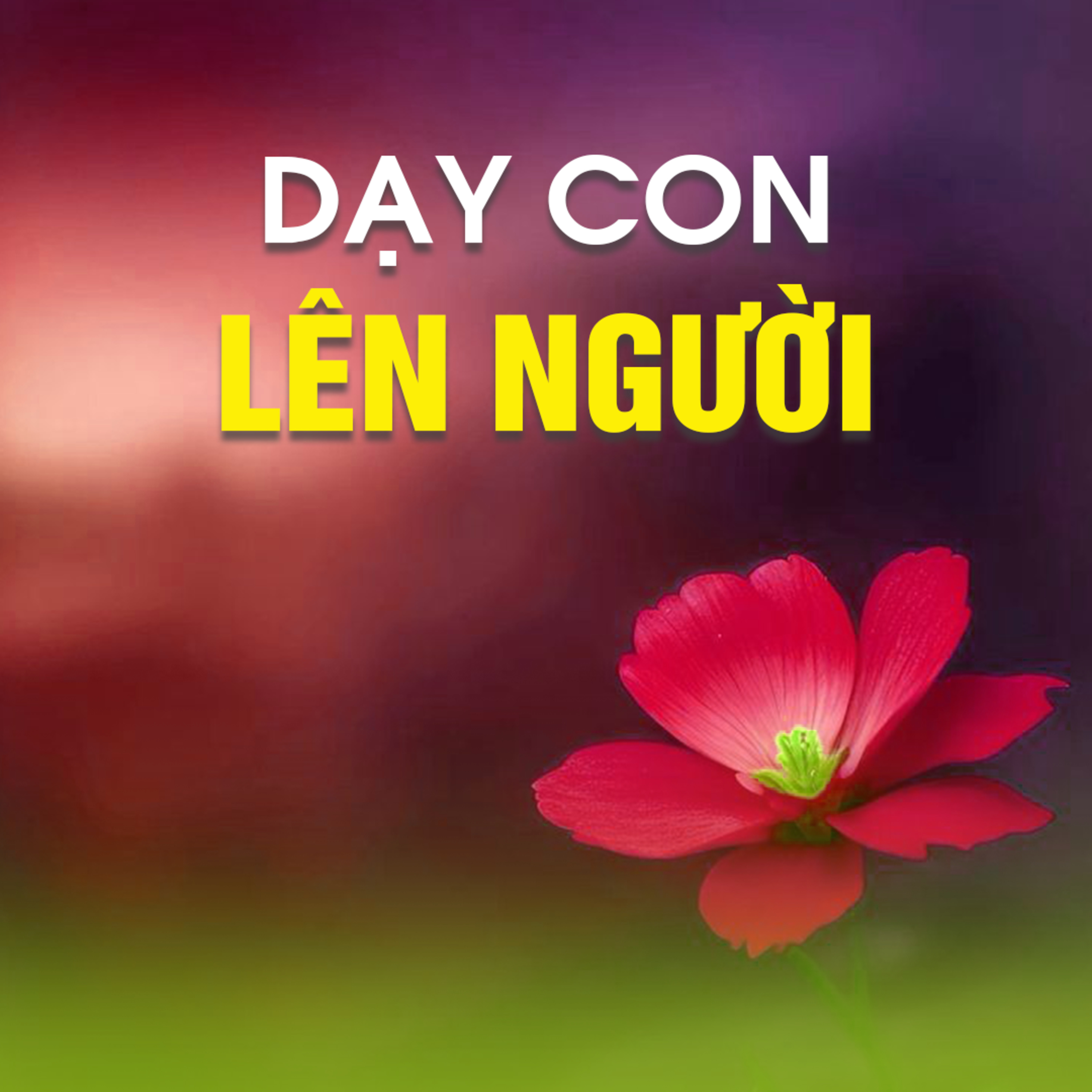 DẠY CON NÊN NGƯỜI | TT. TS. Thích Chân Quang episode artwork