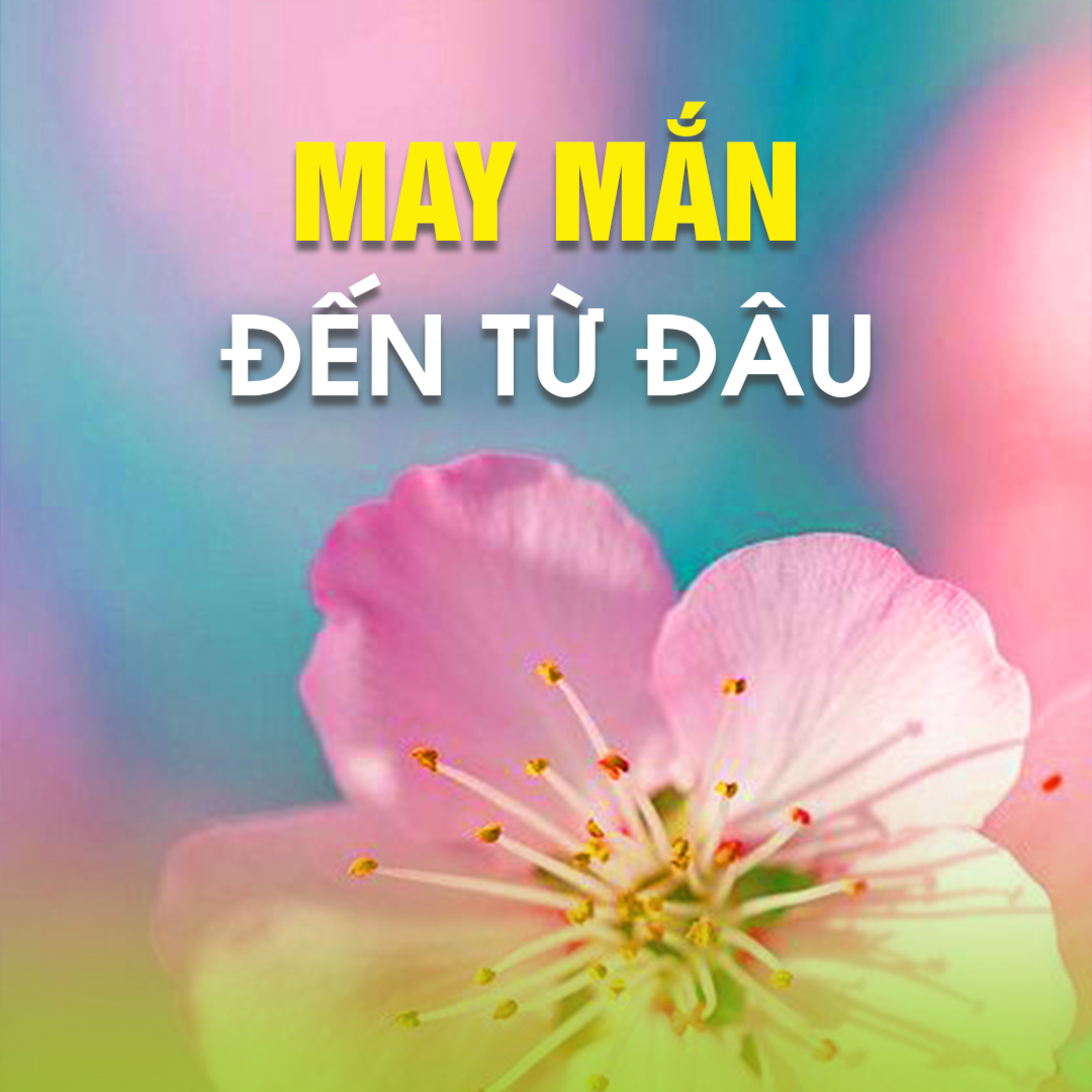 MAY MẮN ĐẾN TỪ ĐÂU ? | TT. TS. Thích Chân Quang episode artwork