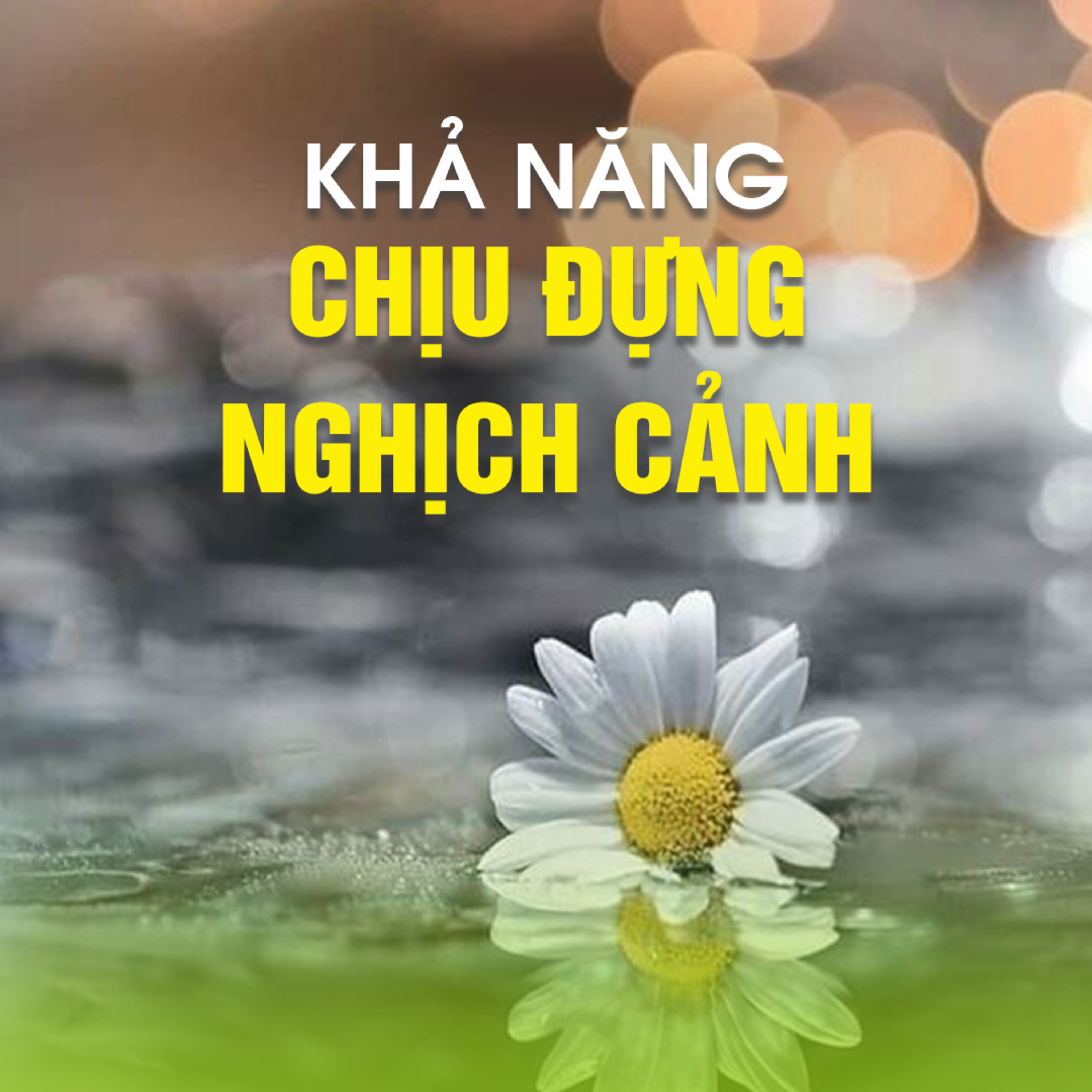 KHẢ NĂNG CHỊU ĐỰNG NGHỊCH CẢNH | TT. TS. Thích Chân Quang episode artwork