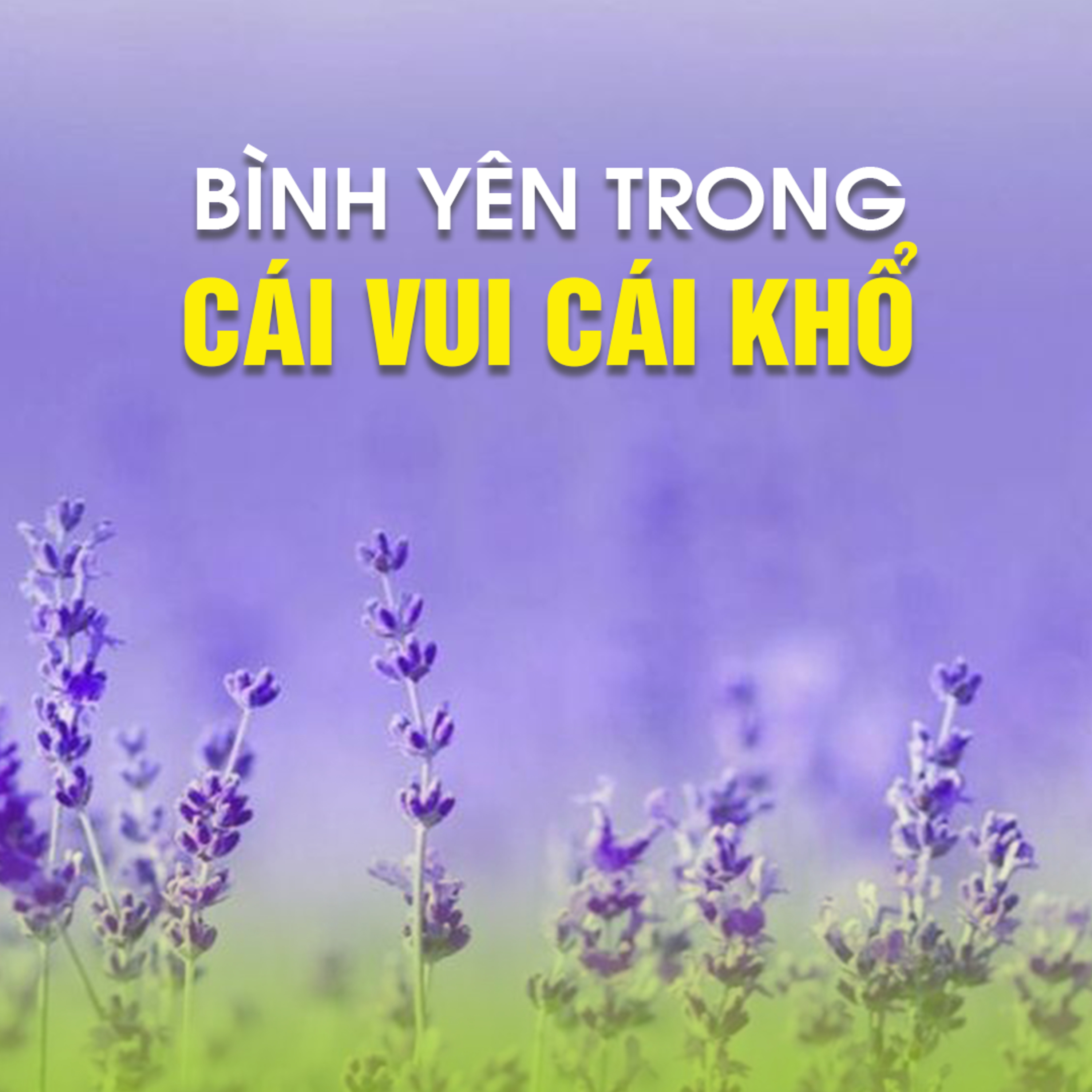 BÌNH AN TRONG CÁI VUI CÁI KHỔ | TT. TS. Thích Chân Quang