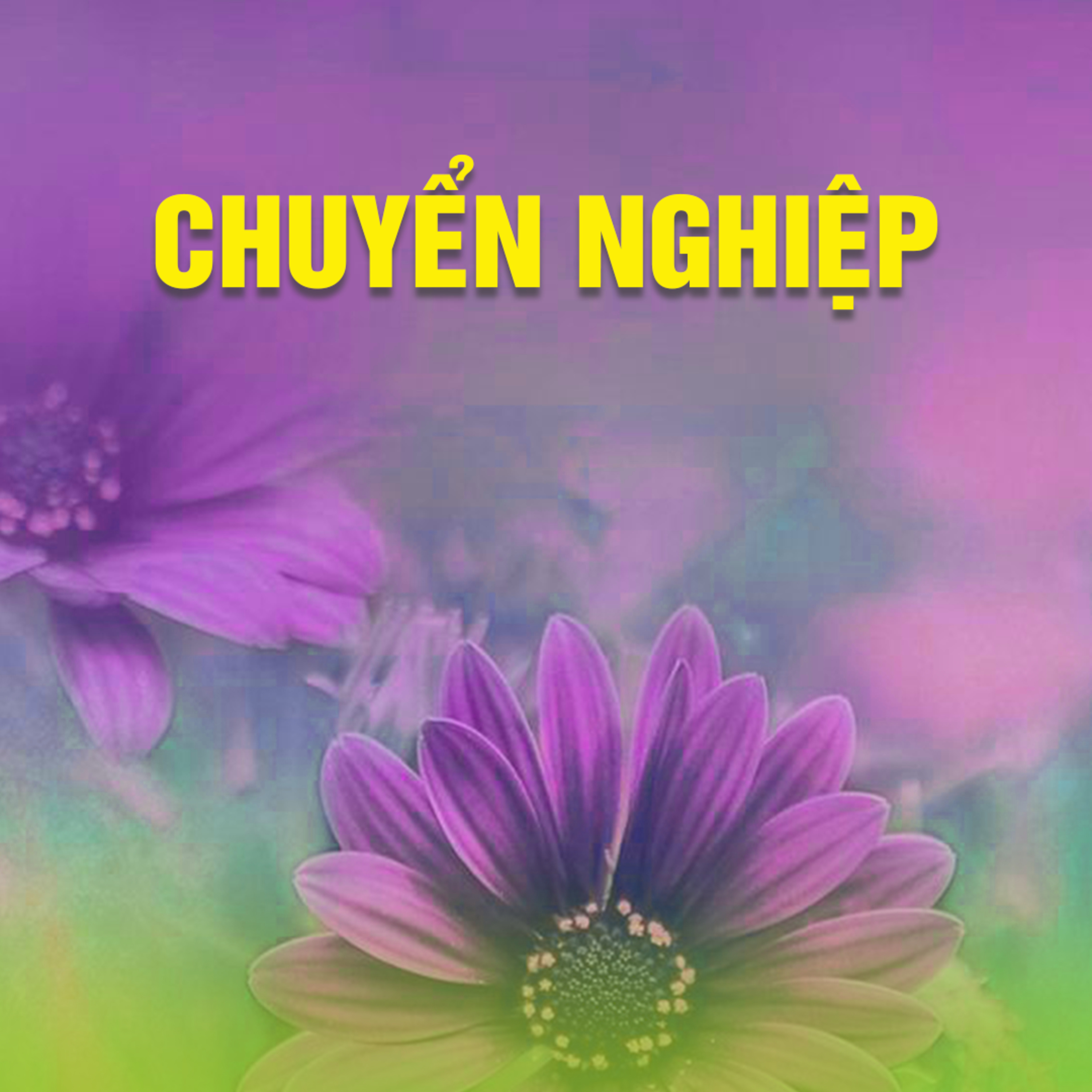 CHUYỂN NGHIỆP - Pháp Cú 38 | TT. TS. Thích Chân Quang episode artwork