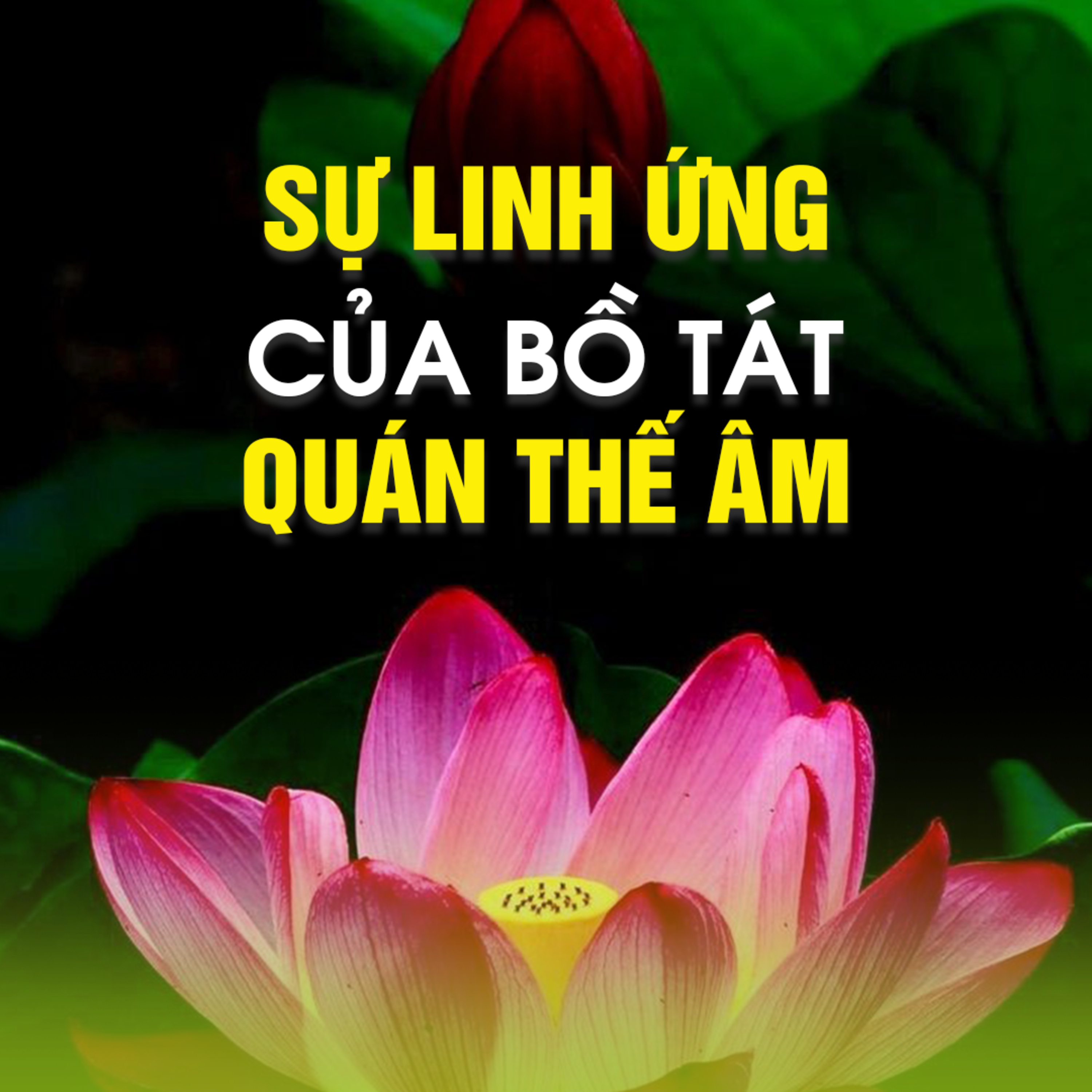 SỰ LINH ỨNG CỦA BỒ TÁT QUÁN THẾ ÂM | TT. TS. Thích Chân Quang episode artwork