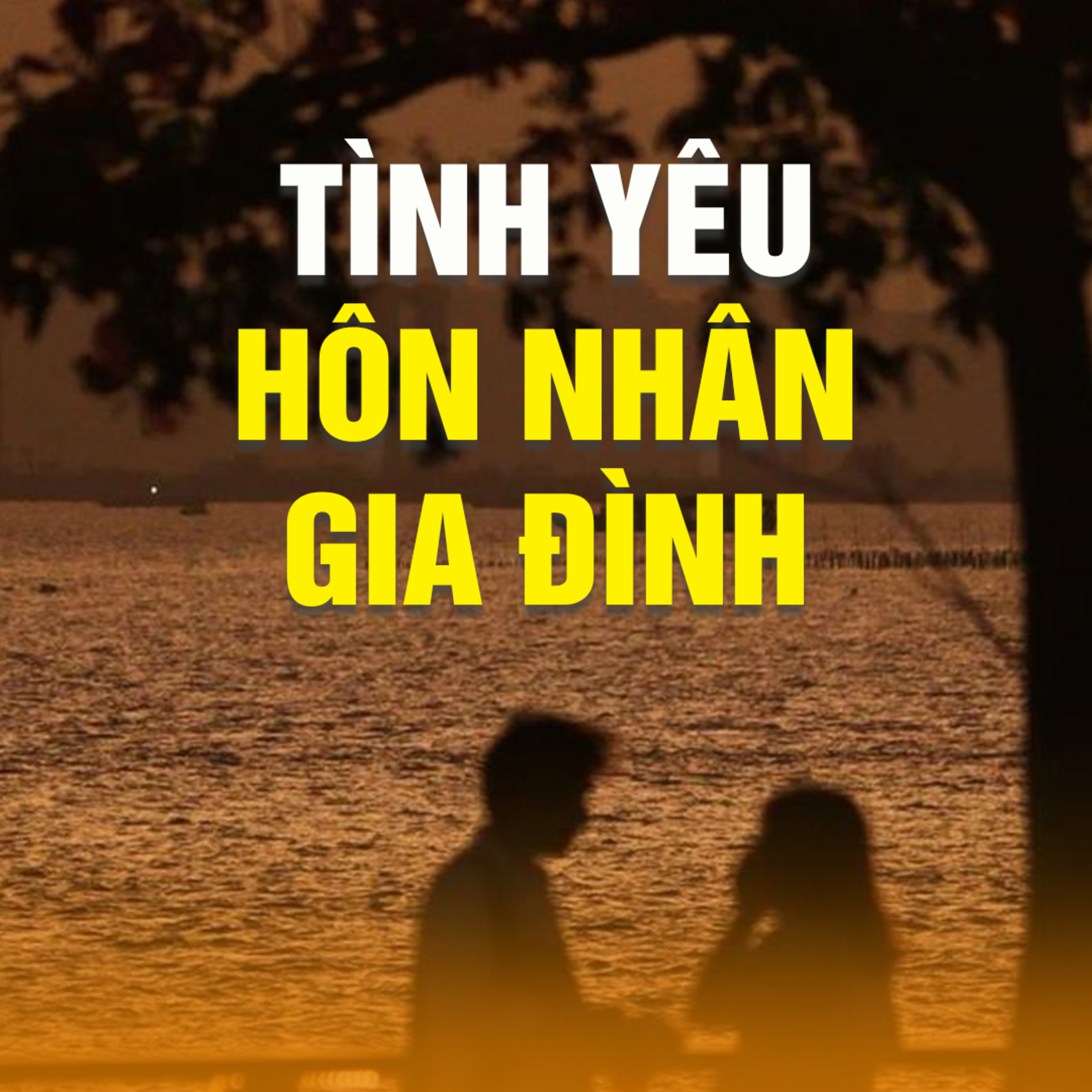 TÌNH YÊU, HÔN NHÂN, GIA ĐÌNH - 1 | TT. TS. Thích Chân Quang episode artwork