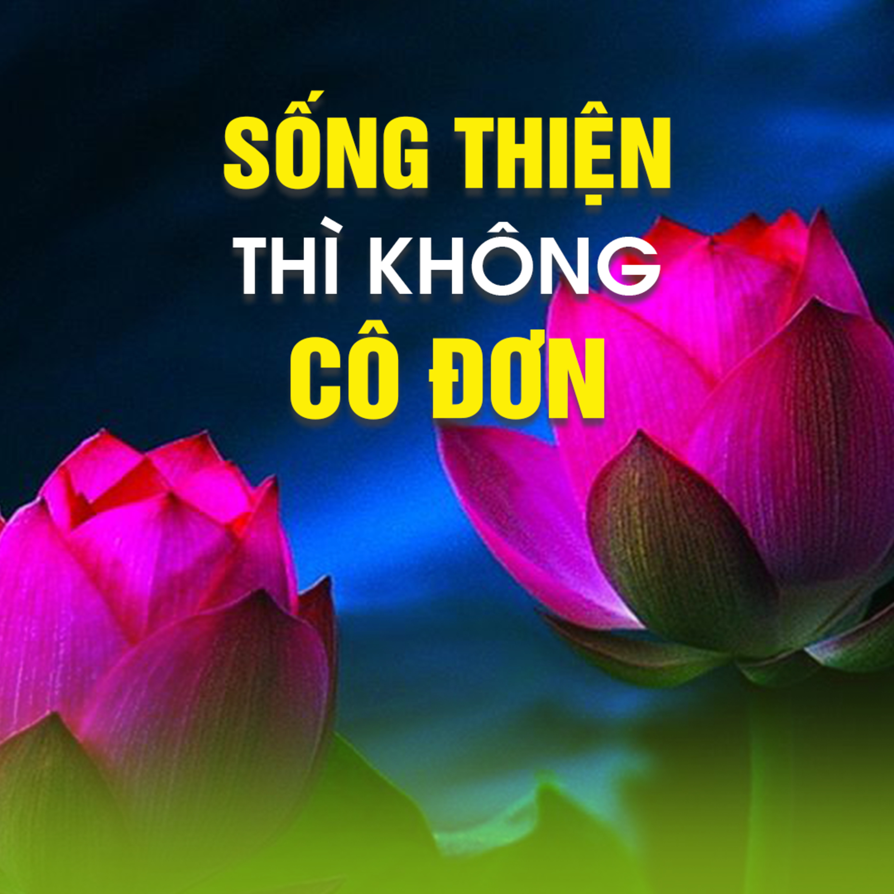SỐNG THIỆN THÌ KHÔNG CÔ ĐƠN - TT.TS. Thích Chân Quang  episode artwork