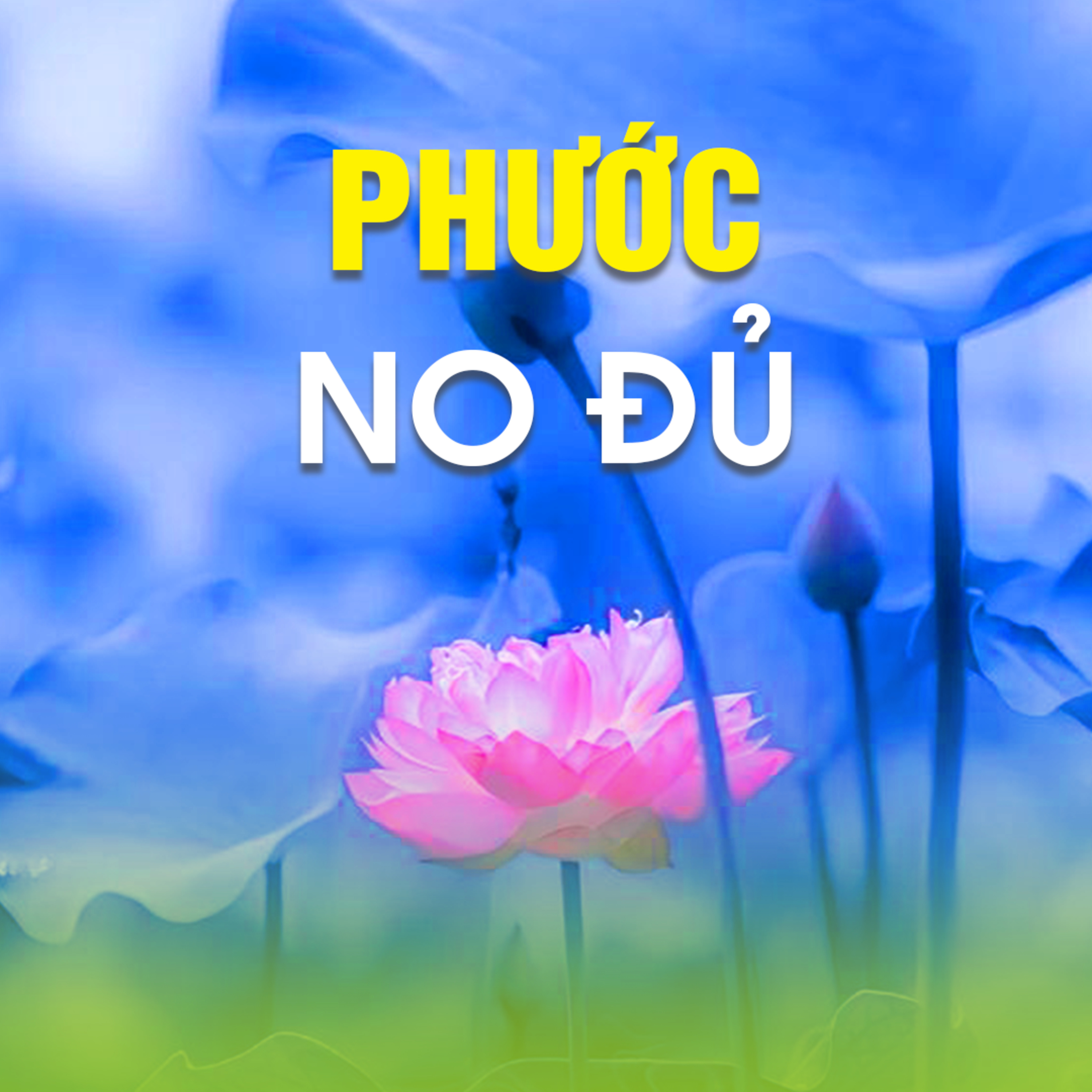 PHƯỚC NO ĐỦ | TT. TS. Thích Chân Quang episode artwork