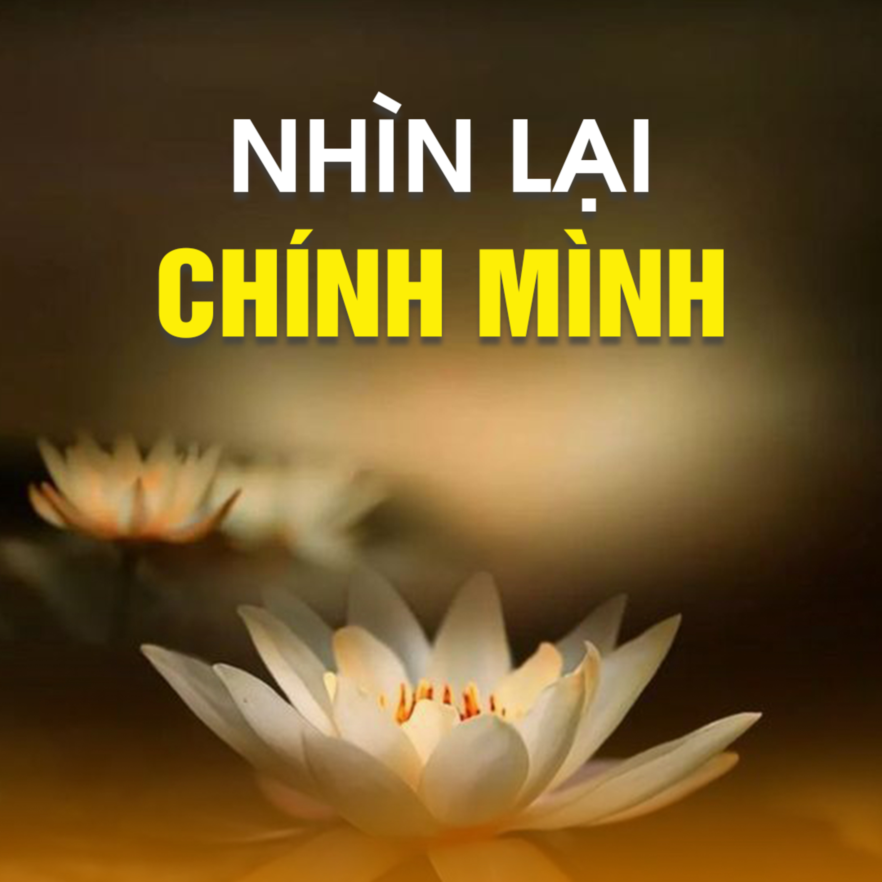 NHÌN LẠI CHÍNH MÌNH | TT. TS. Thích Chân Quang episode artwork