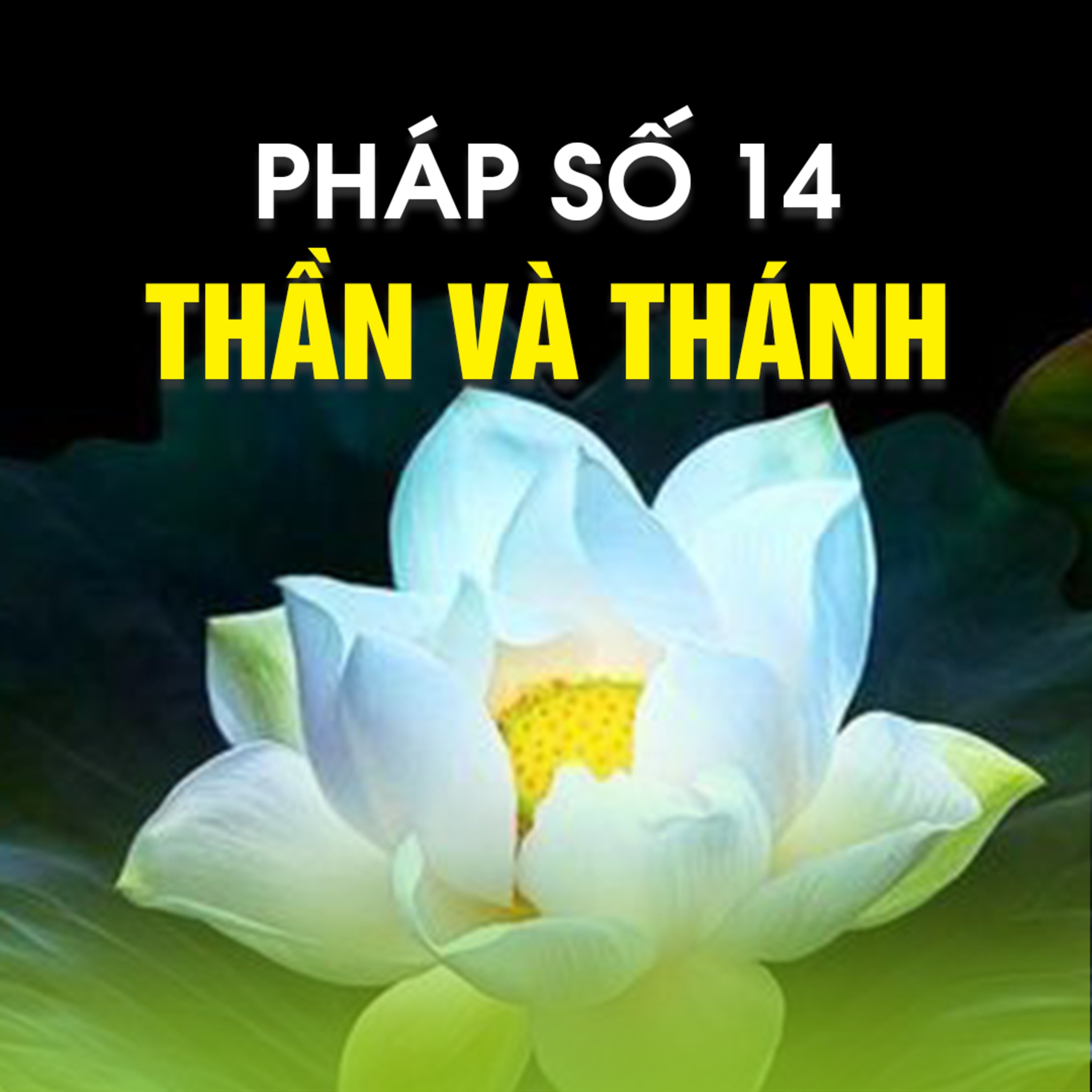 PHÁP SỐ 14 - THẦN VÀ THÁNH | TT. TS. Thích Chân Quang episode artwork