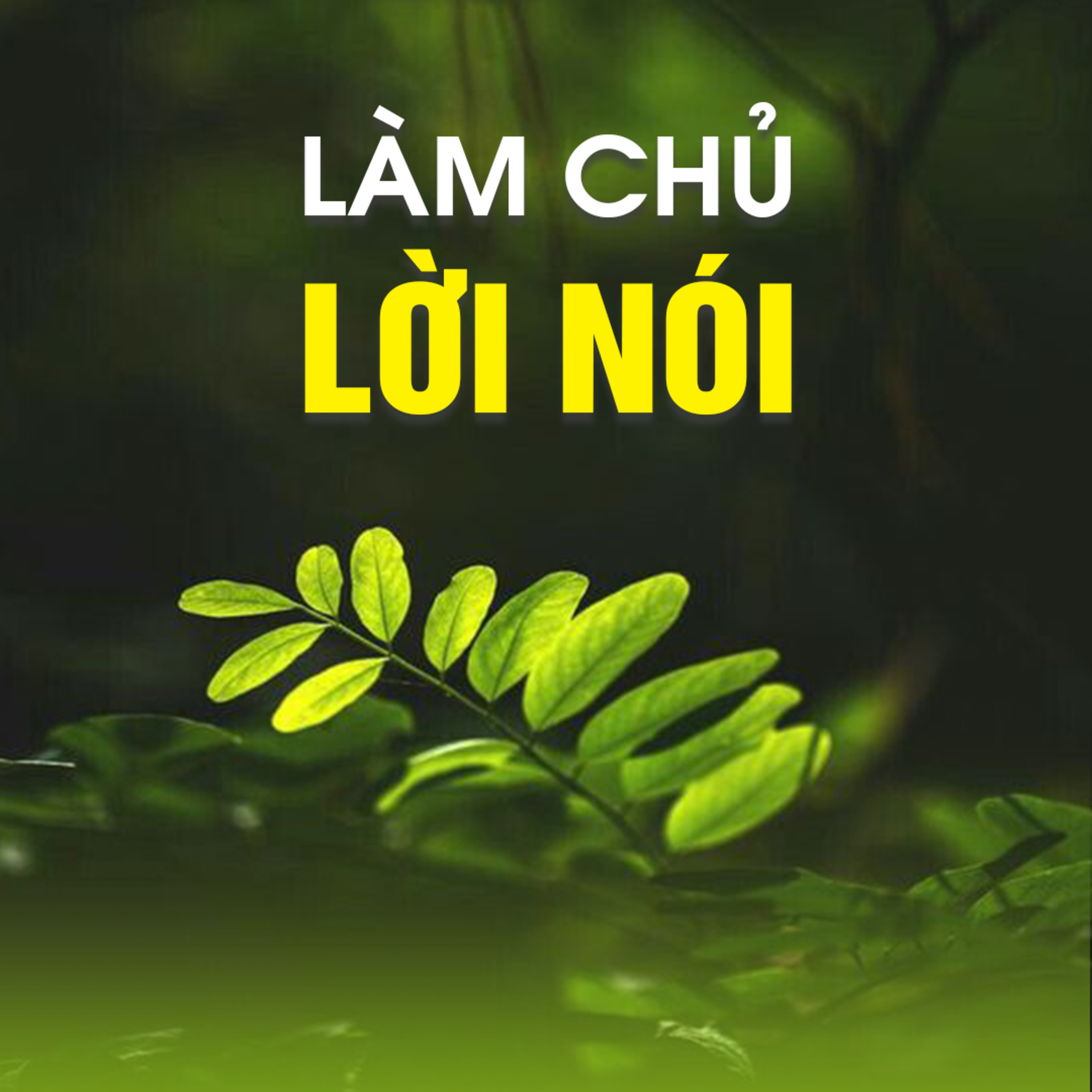 LÀM CHỦ LỜI NÓI | TT. TS. Thích Chân Quang episode artwork