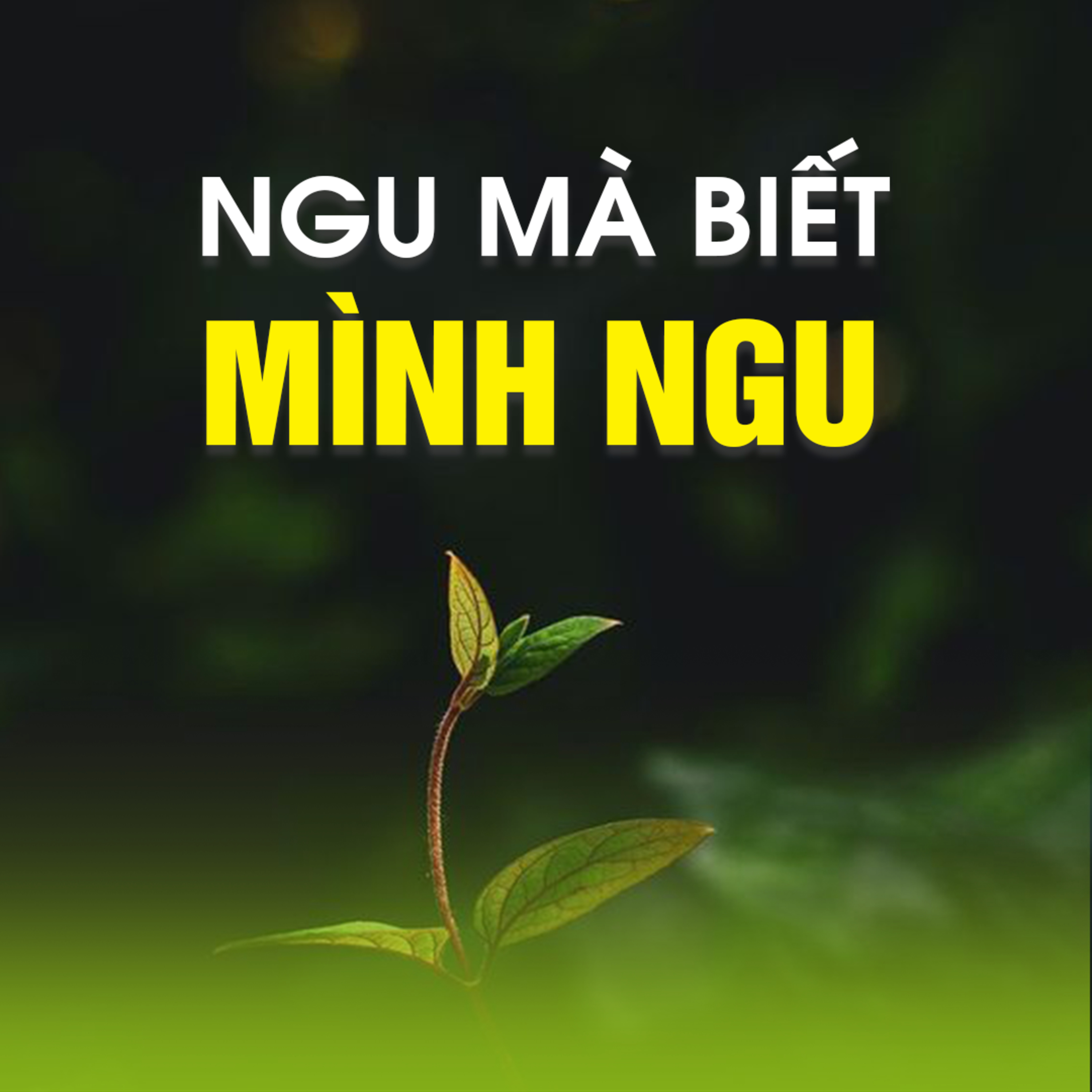 NGU MÀ BIẾT MÌNH NGU - Pháp Cú 24 | TT. TS. Thích Chân Quang