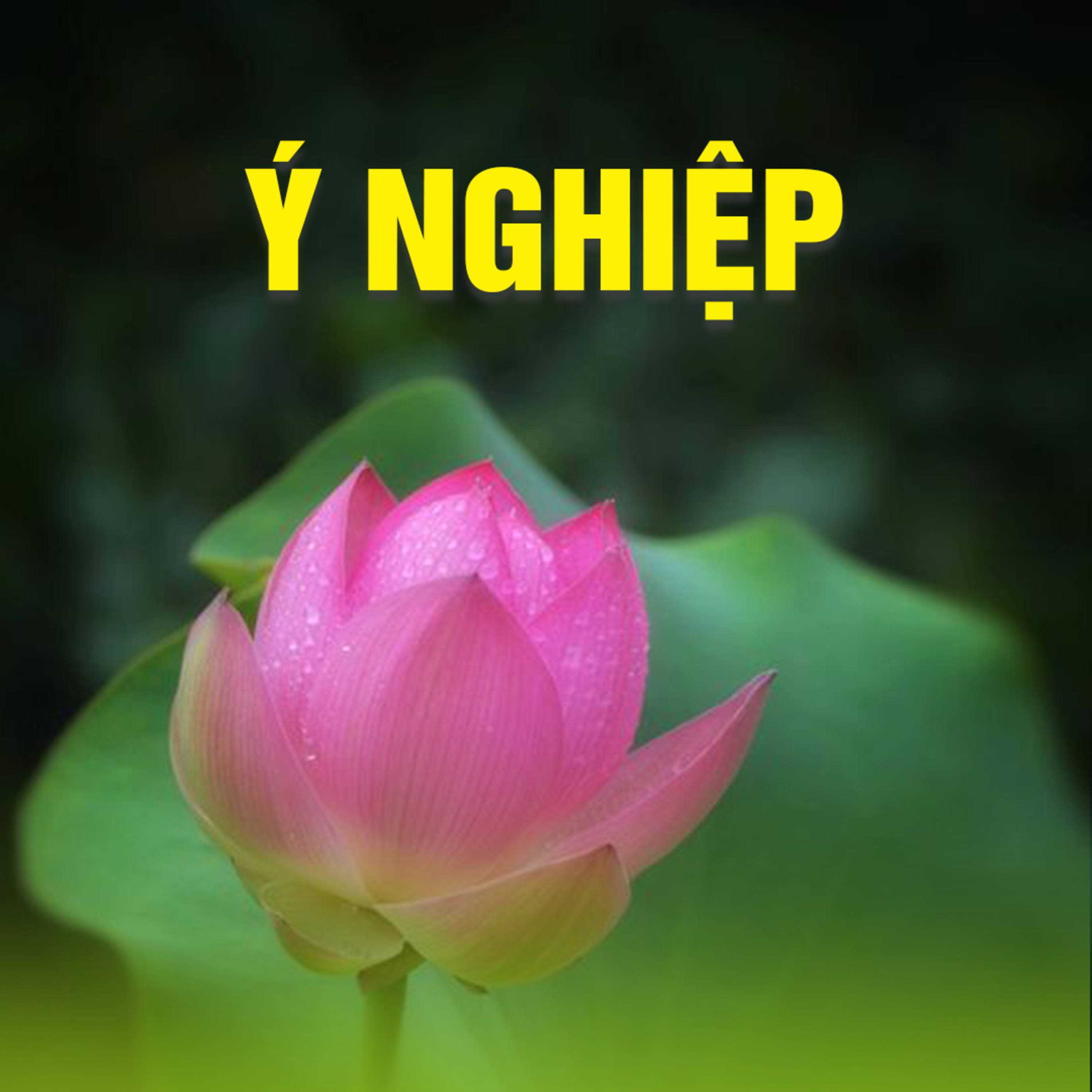 Ý NGHIỆP | TT. TS. Thích Chân Quang episode artwork
