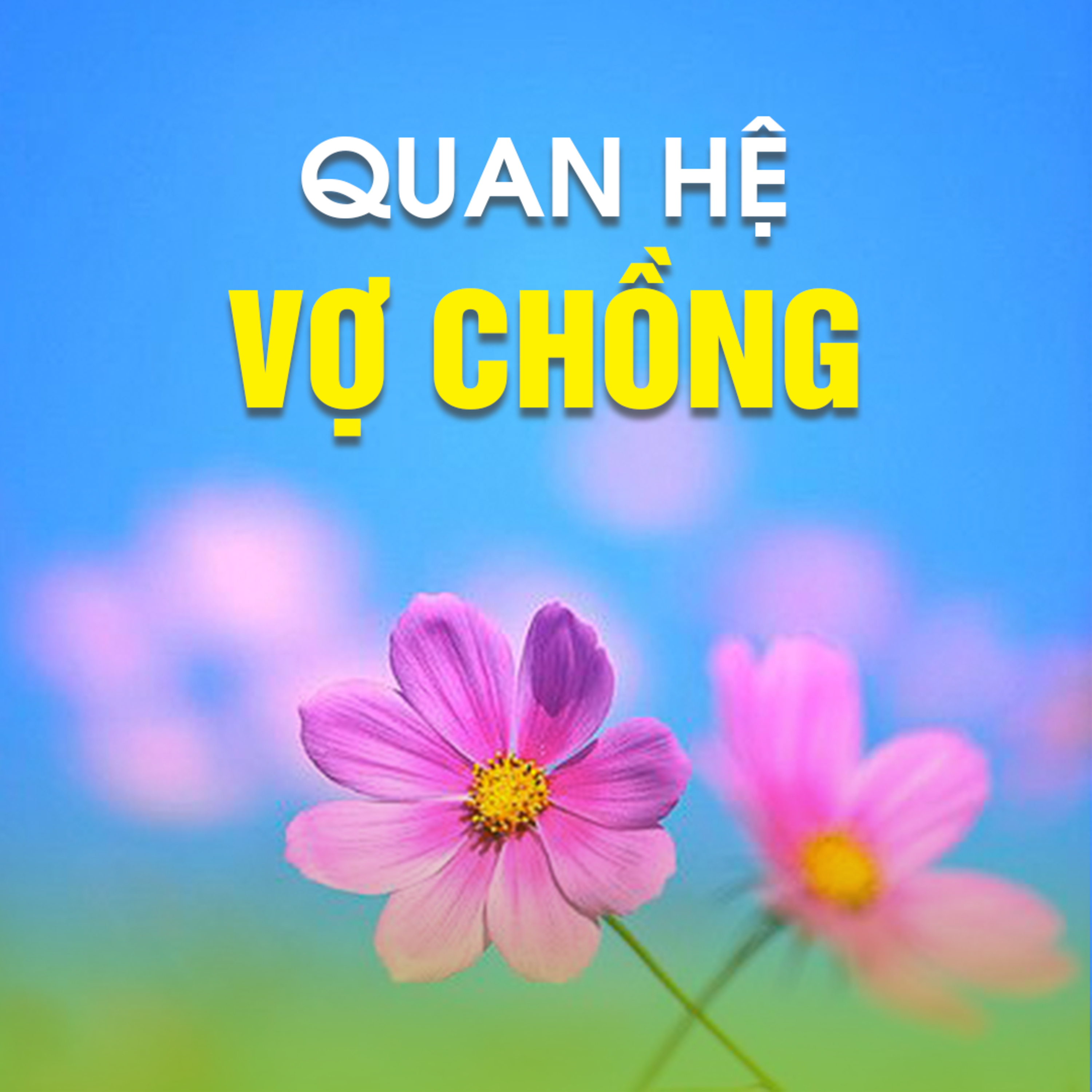 QUAN HỆ VỢ CHỒNG 1 | TT. TS. Thích Chân Quang episode artwork