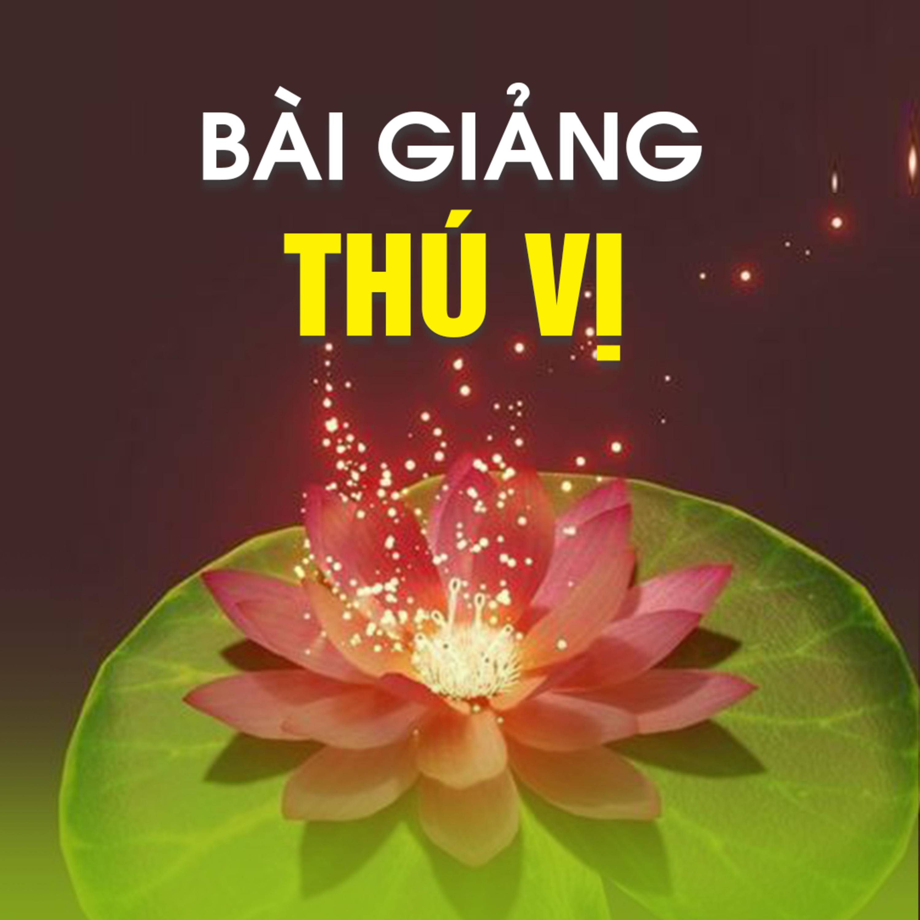BÀI GIẢNG THÚ VỊ | TT. TS. Thích Chân Quang episode artwork