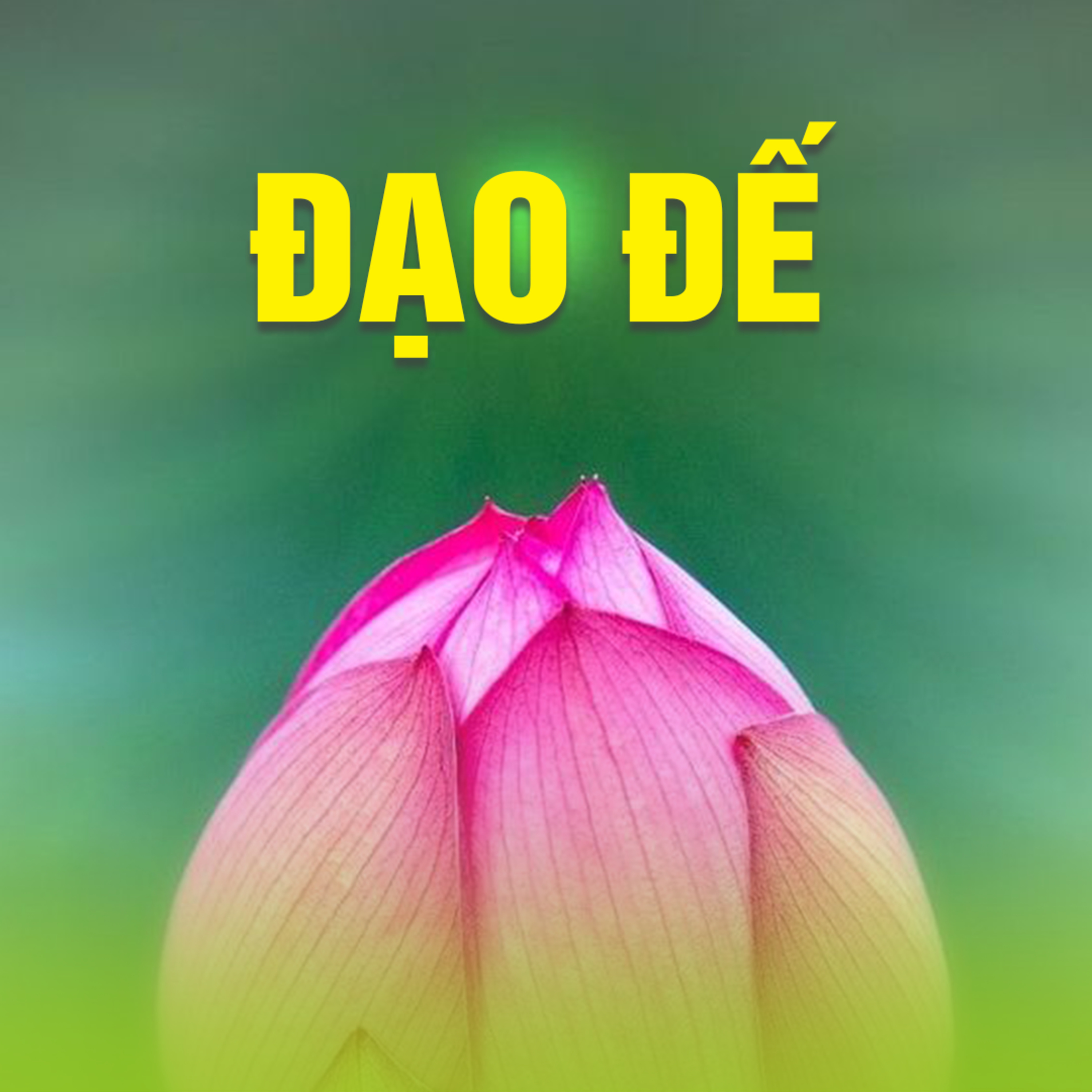 ĐẠO ĐẾ (CHÁNH KIẾN)  episode artwork