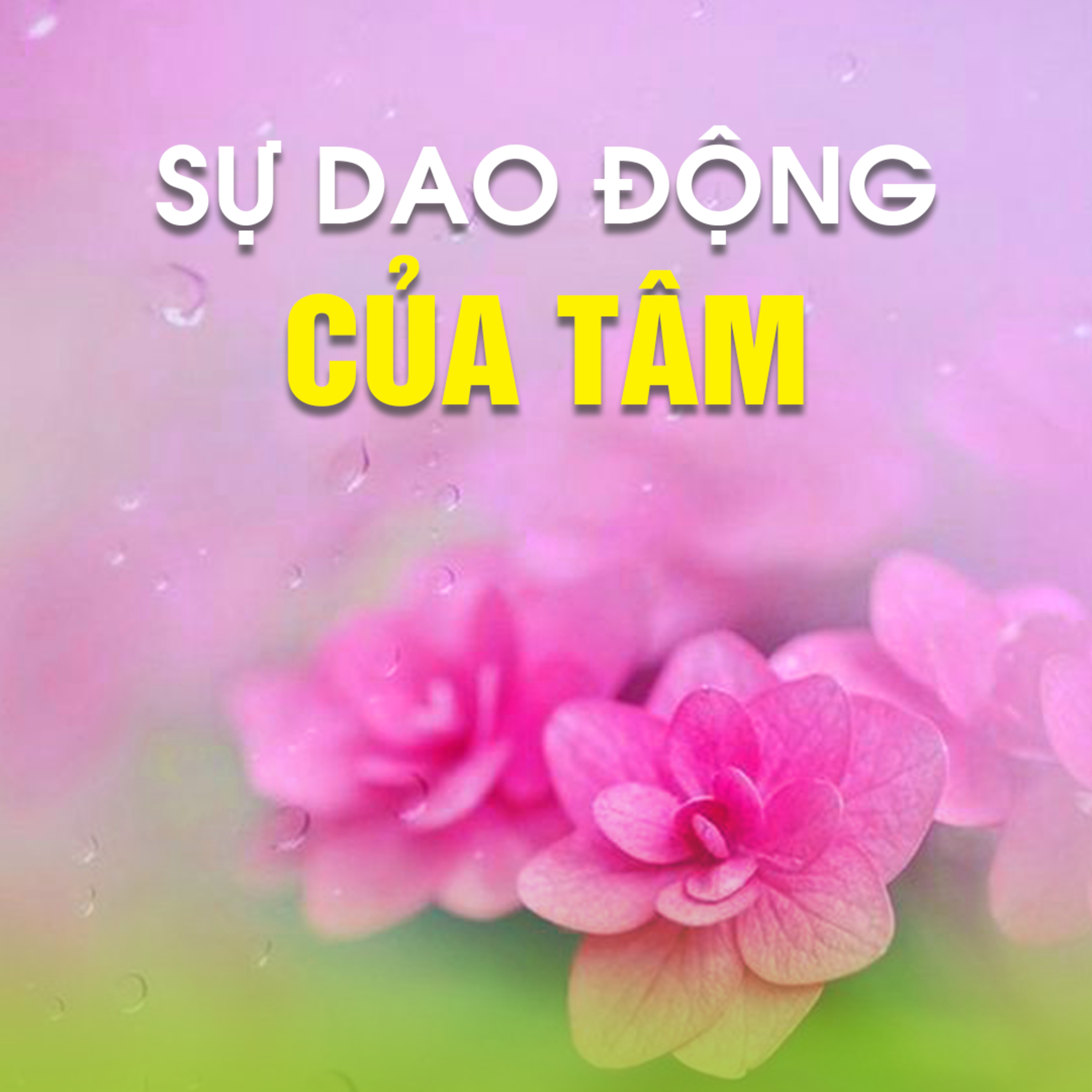 SỰ DAO ĐỘNG CỦA TÂM 