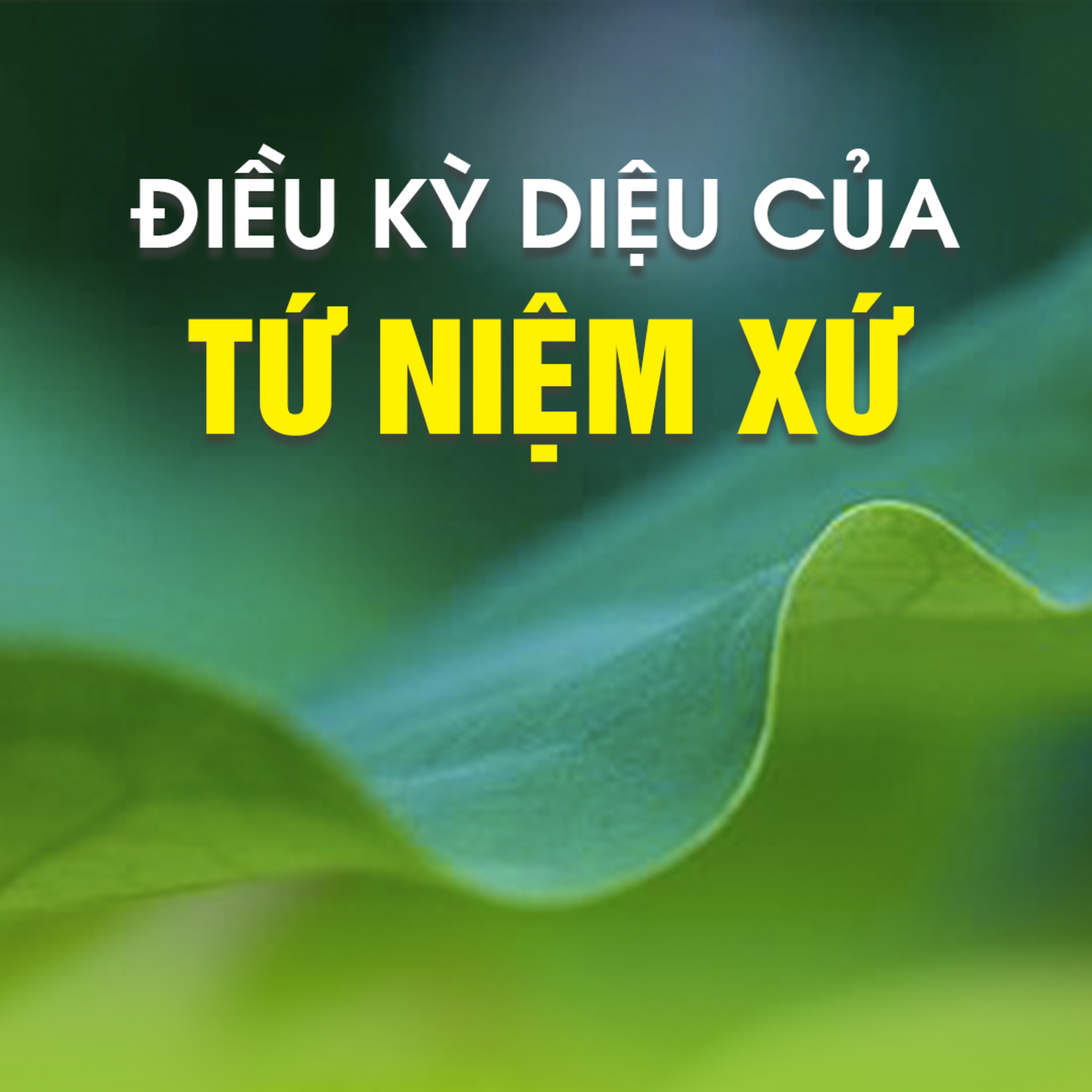 ĐIỀU KỲ DIỆU CỦA TỨ NIỆM XỨ 01 