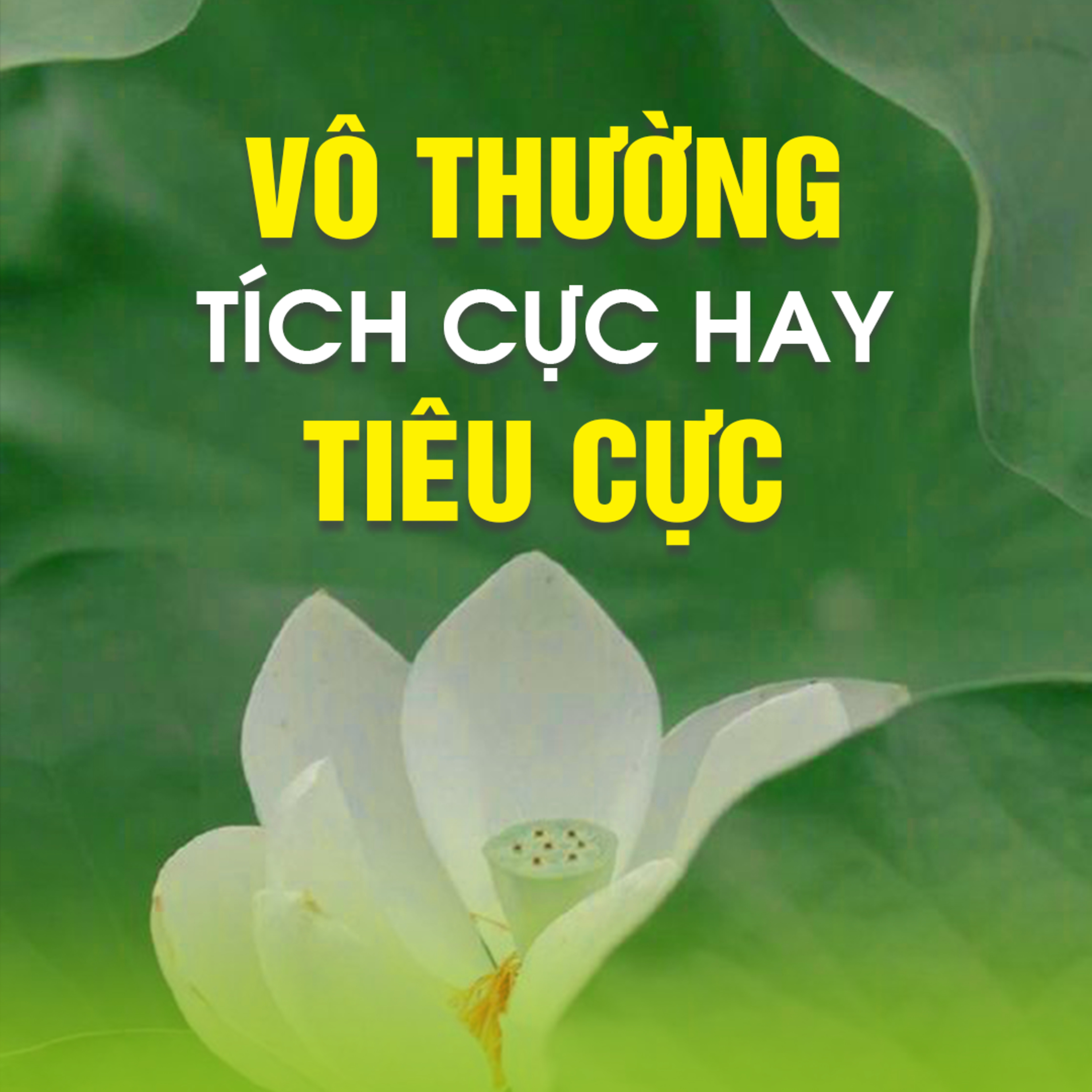 VÔ THƯỜNG TÍCH CỰC HAY TIÊU CỰC  episode artwork