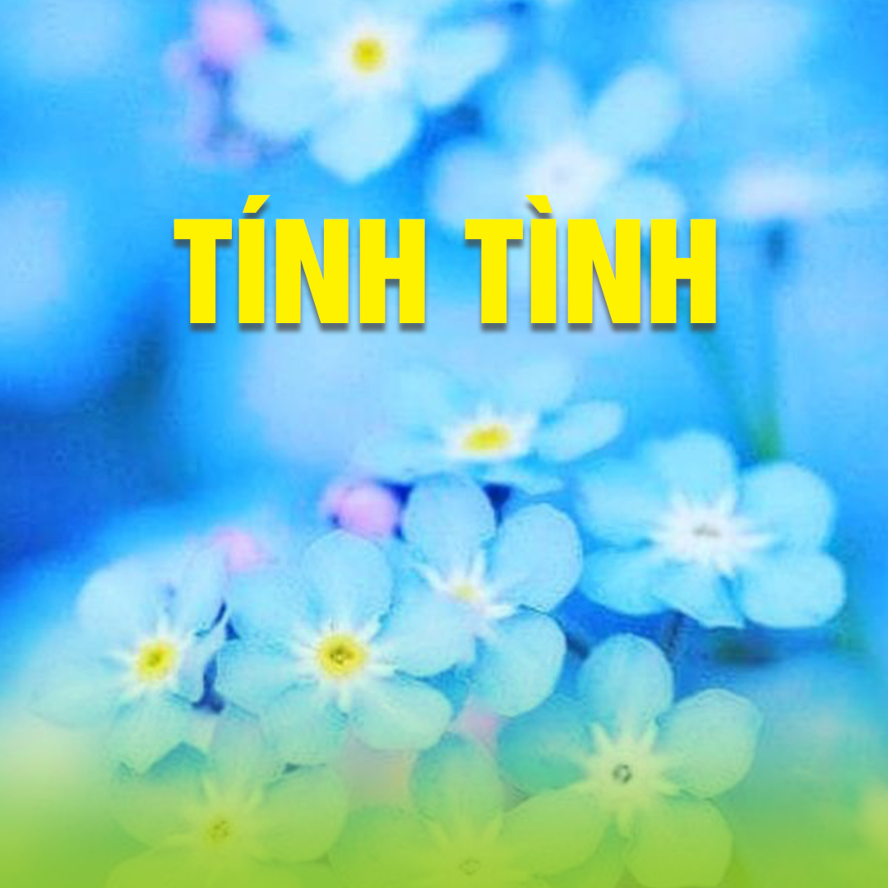 TÍNH TÌNH episode artwork