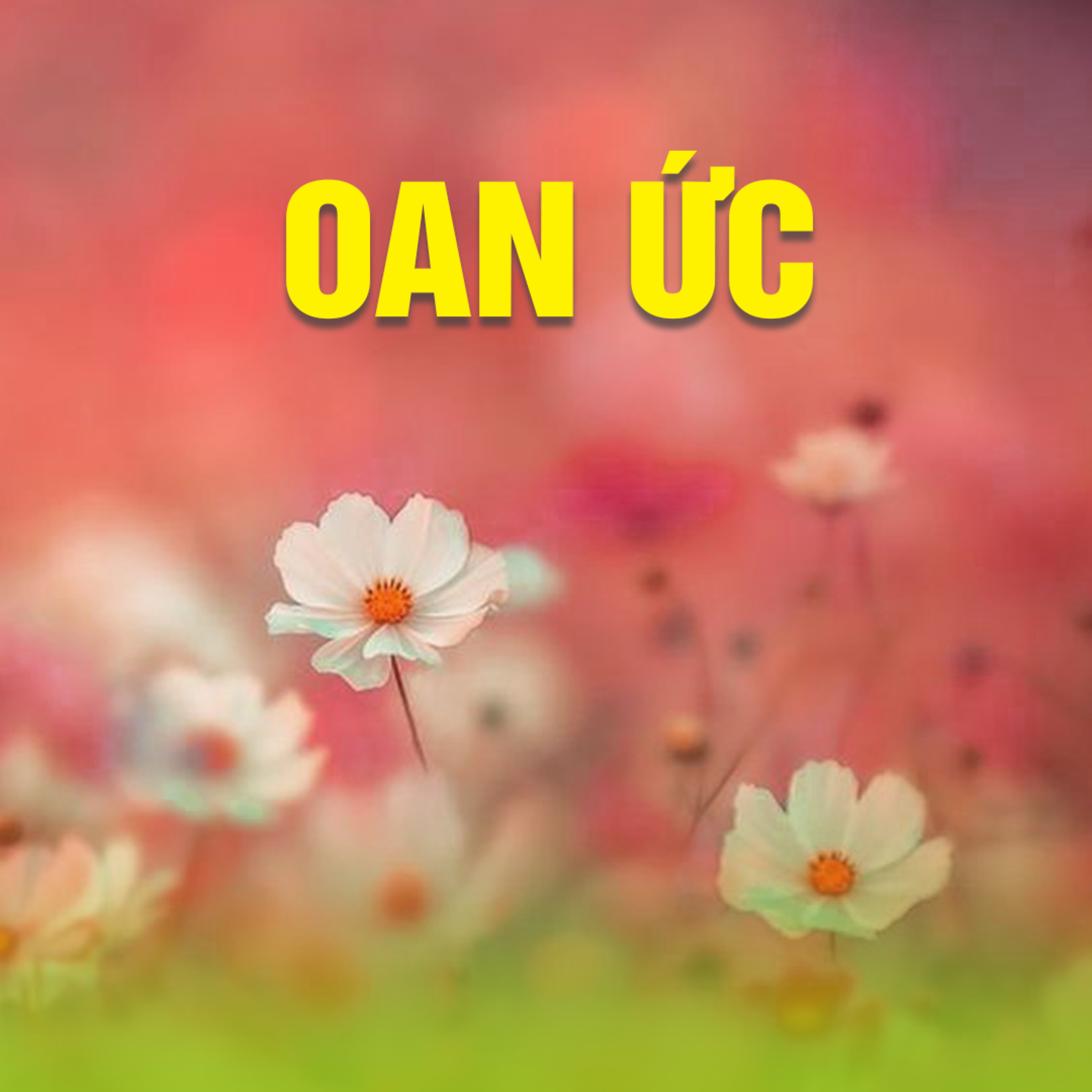 OAN ỨC episode artwork