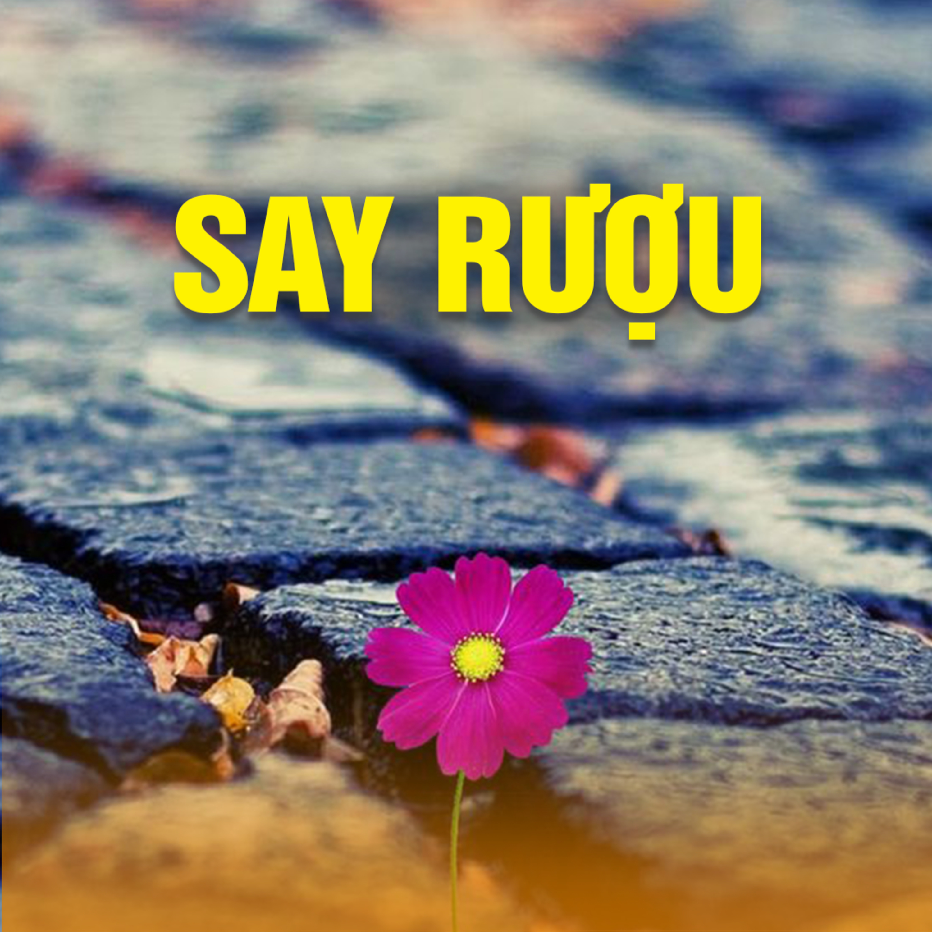 SAY RƯỢU episode artwork