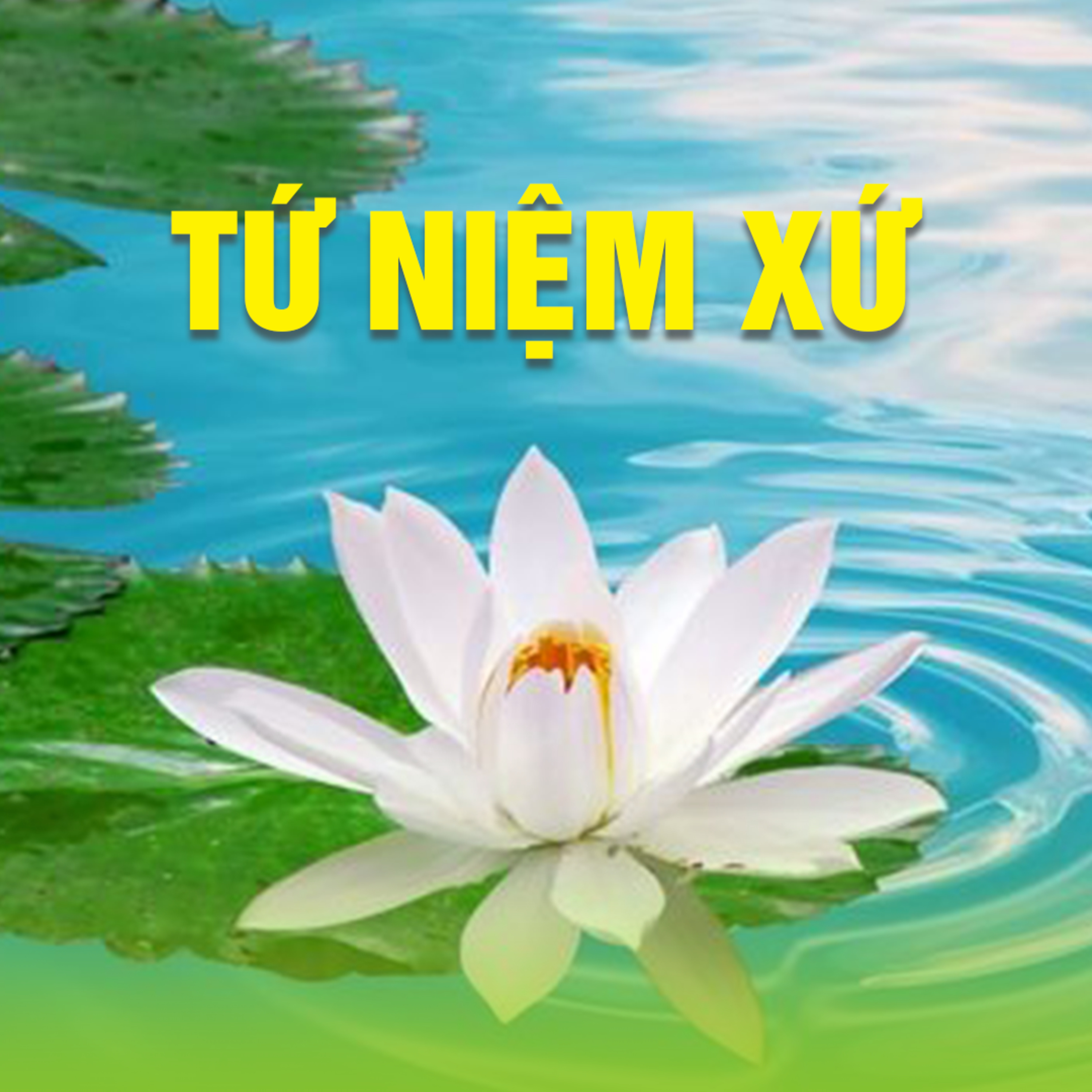 TỨ NIỆM XỨ 04 episode artwork