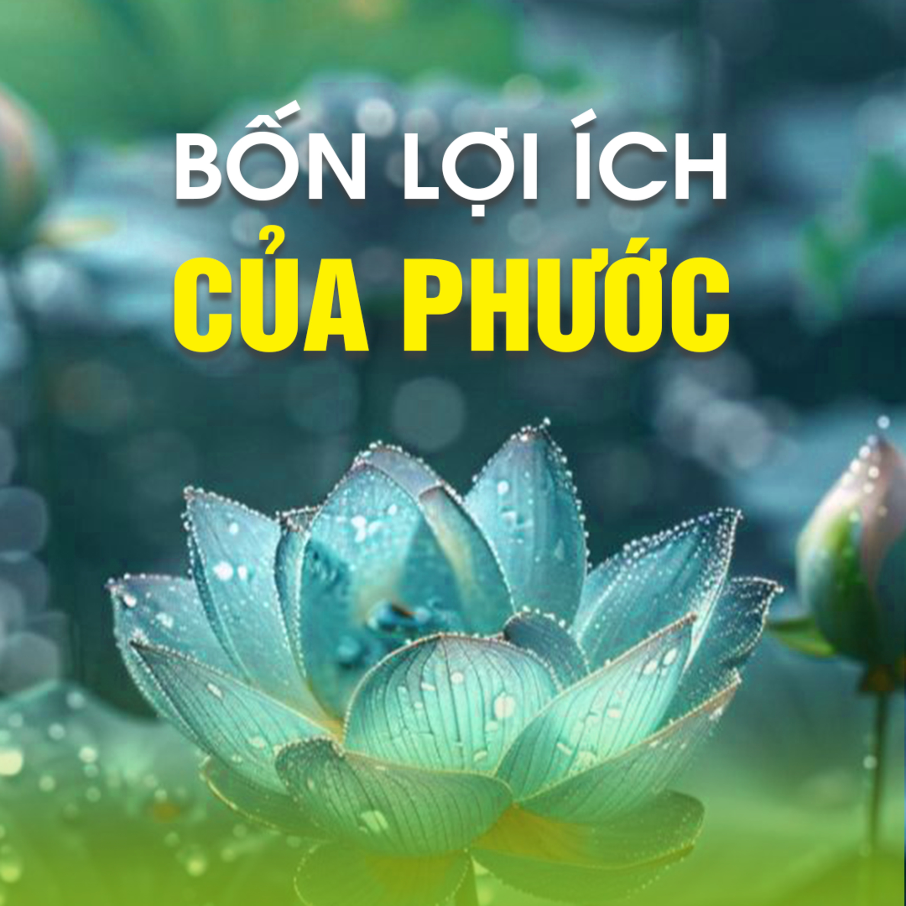 BỐN LỢI ÍCH CỦA PHƯỚC 