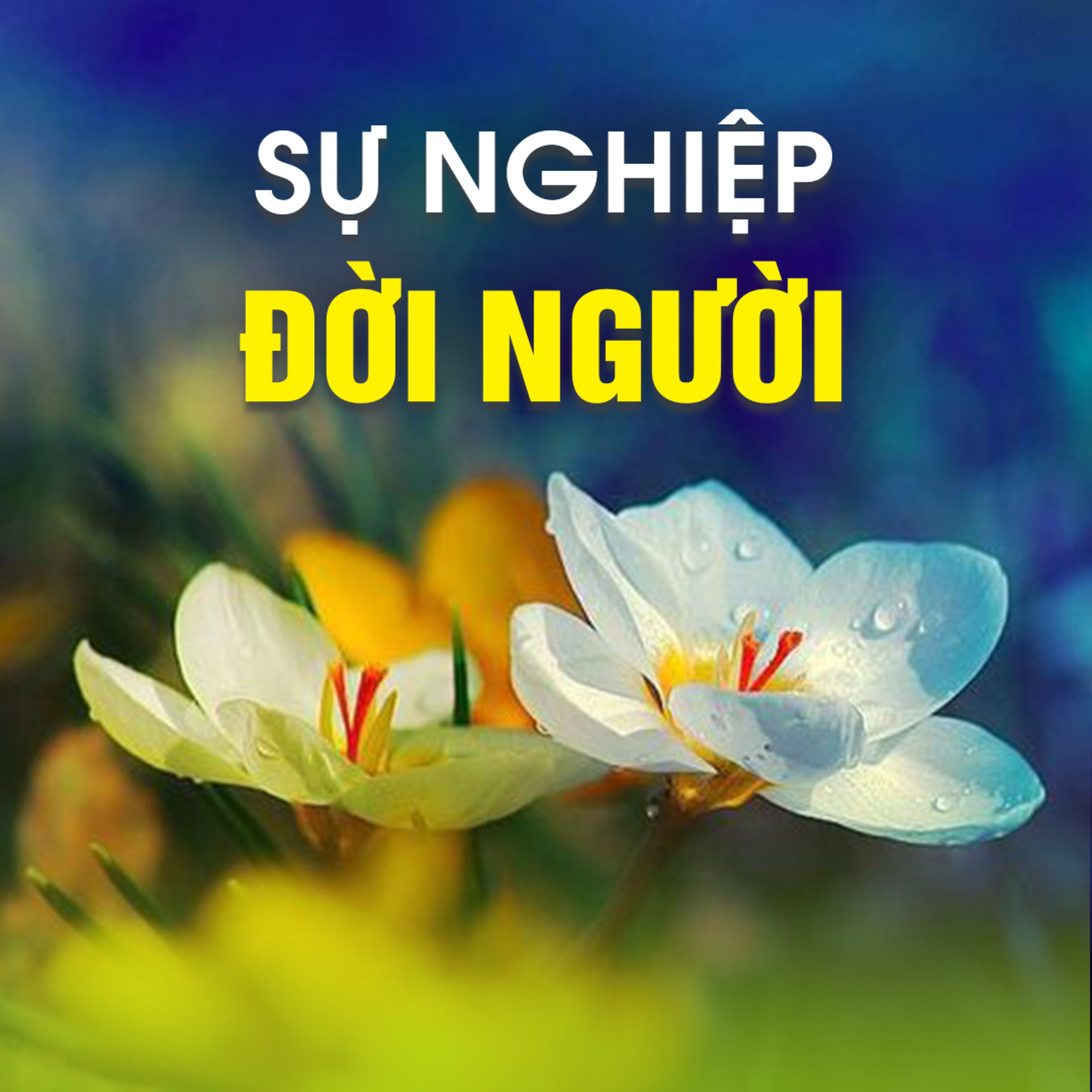 SỰ NGHIỆP ĐỜI NGƯỜI  episode artwork