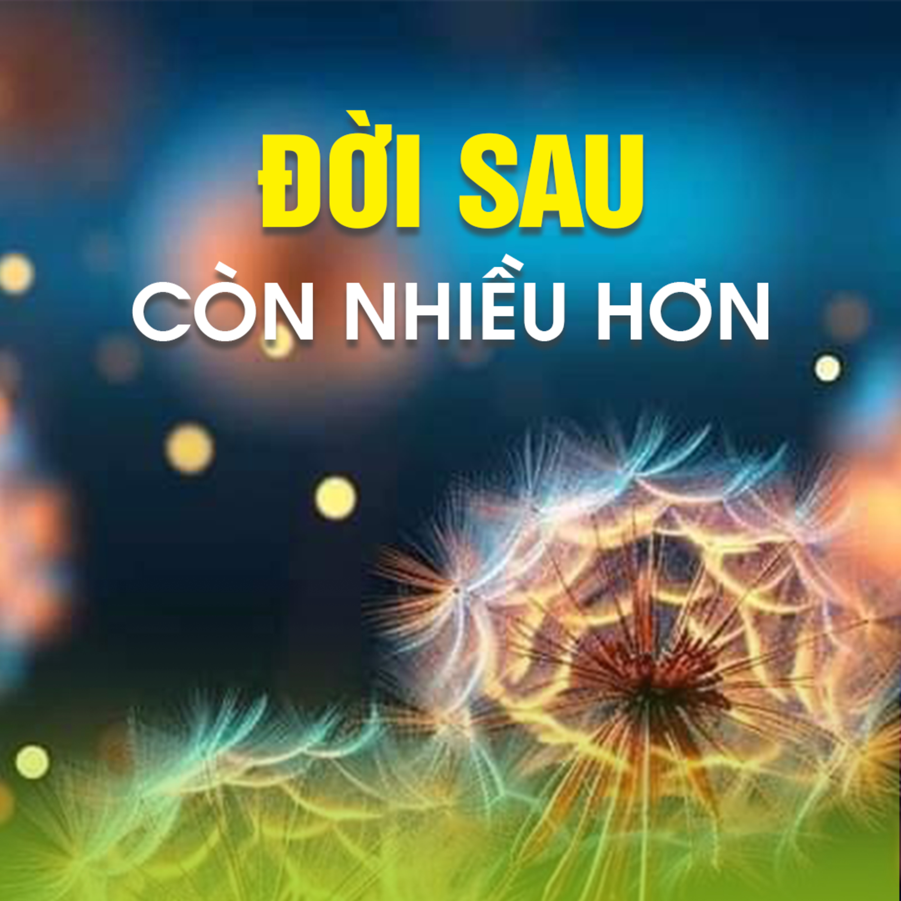 ĐỜI SAU CÒN NHIỀU HƠN episode artwork