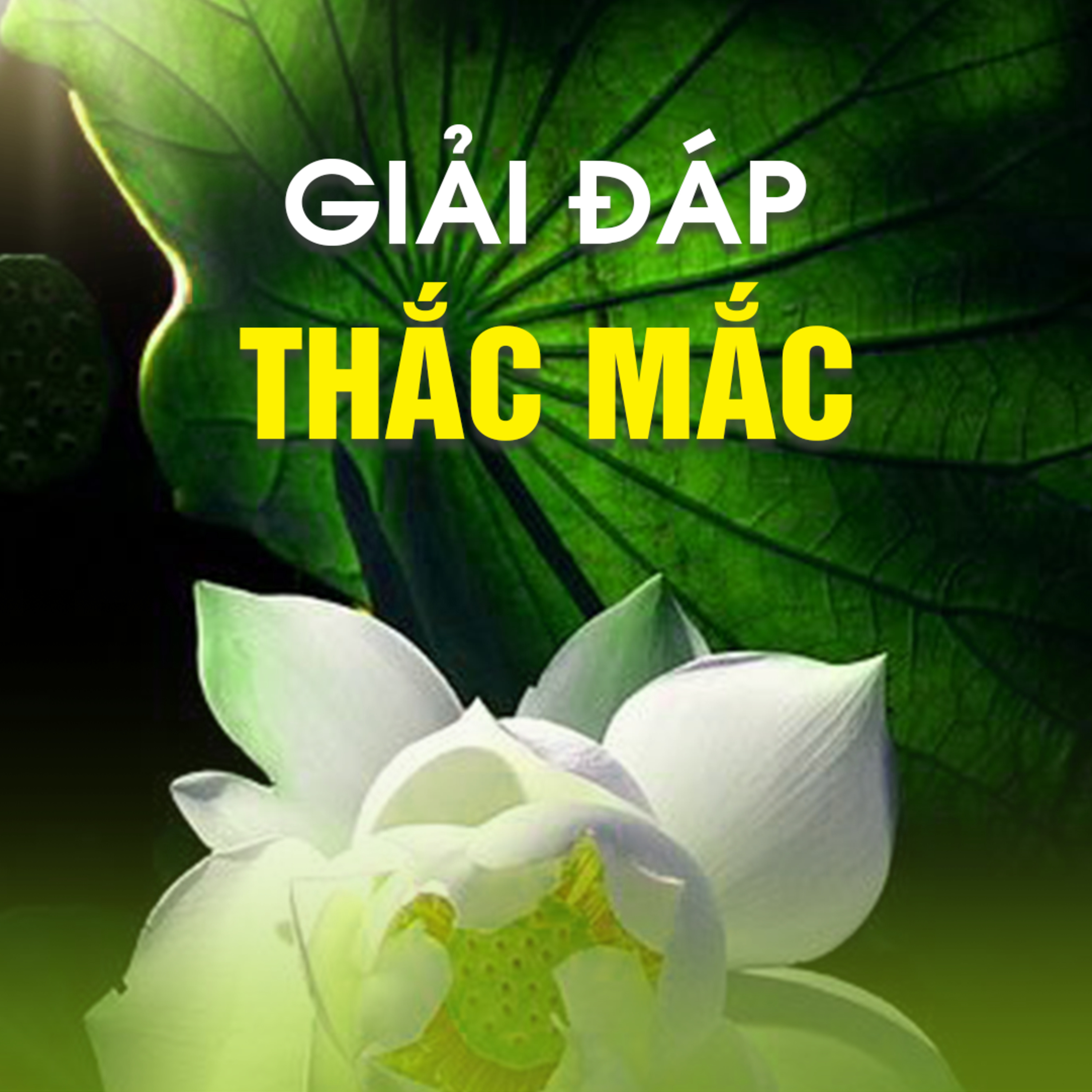 GIẢI ĐÁP THẮC MẮC episode artwork