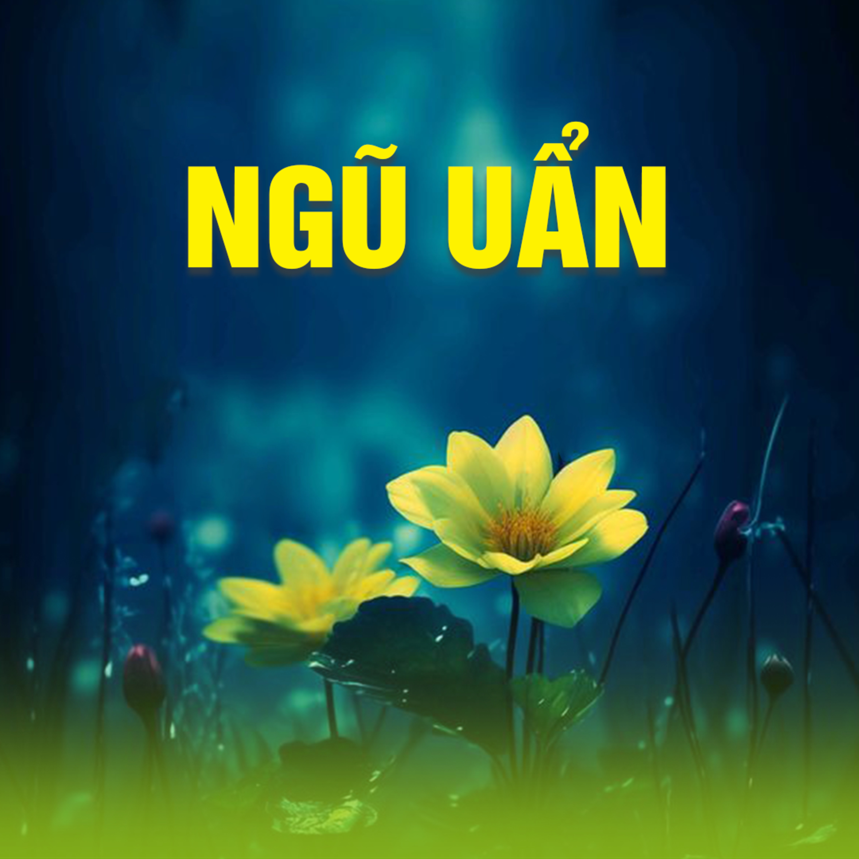 NGŨ UẨN 01 episode artwork