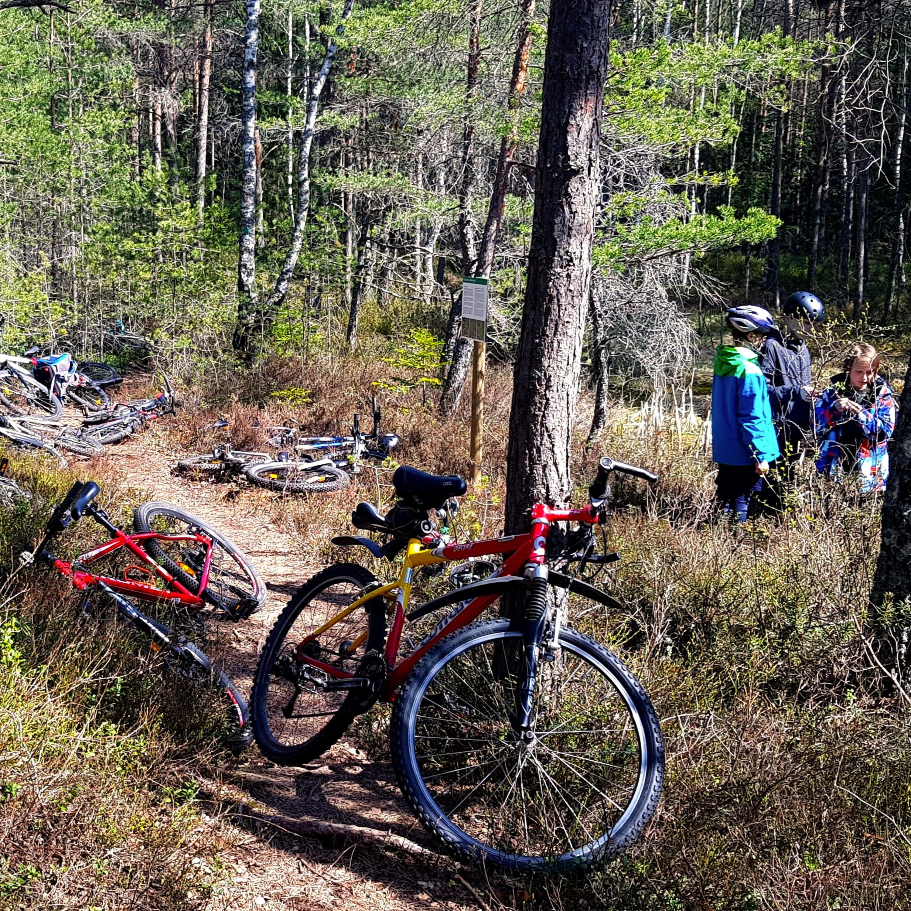 #8 Projekt "Rattarong" NuLa inkubaatoris