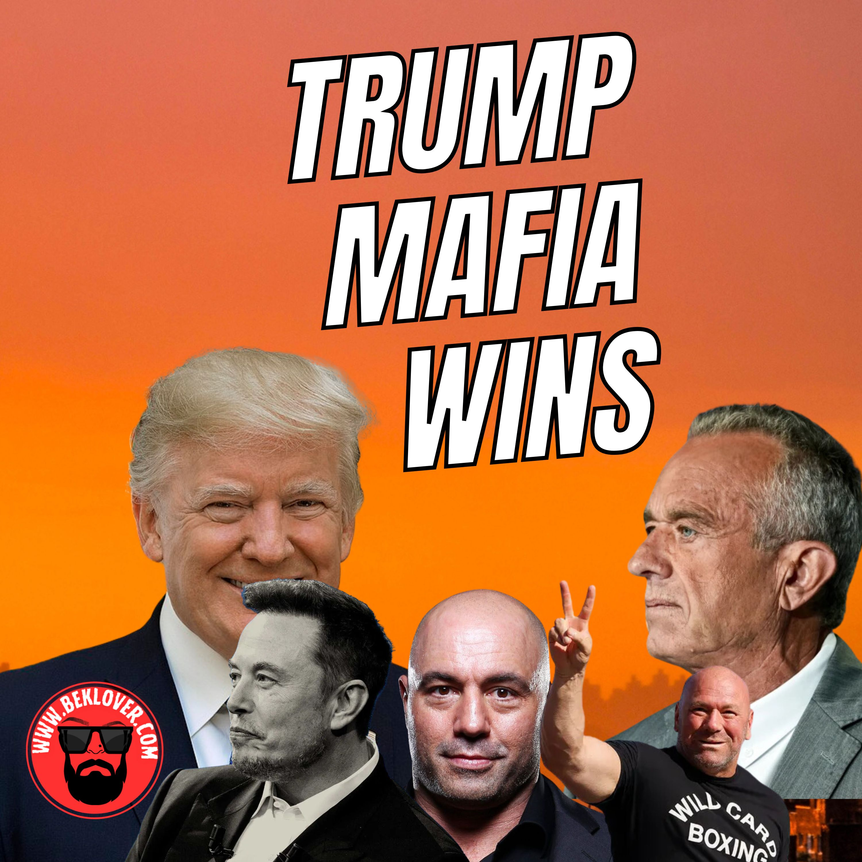 THE DAY AFTER TRUMP VICTORY: NOW WHAT? episode artwork