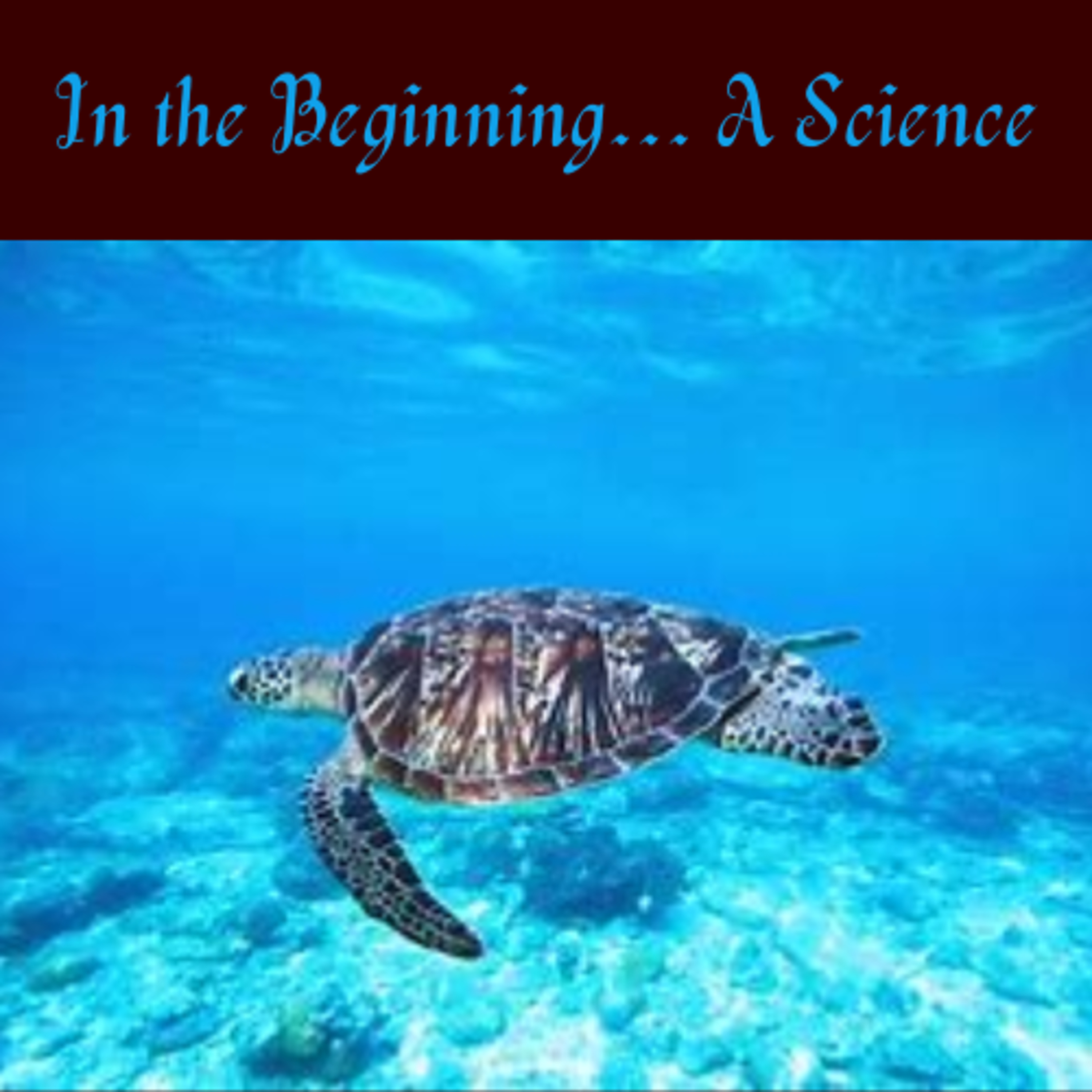 Ep. 6b In the Beginning... A Science episode artwork