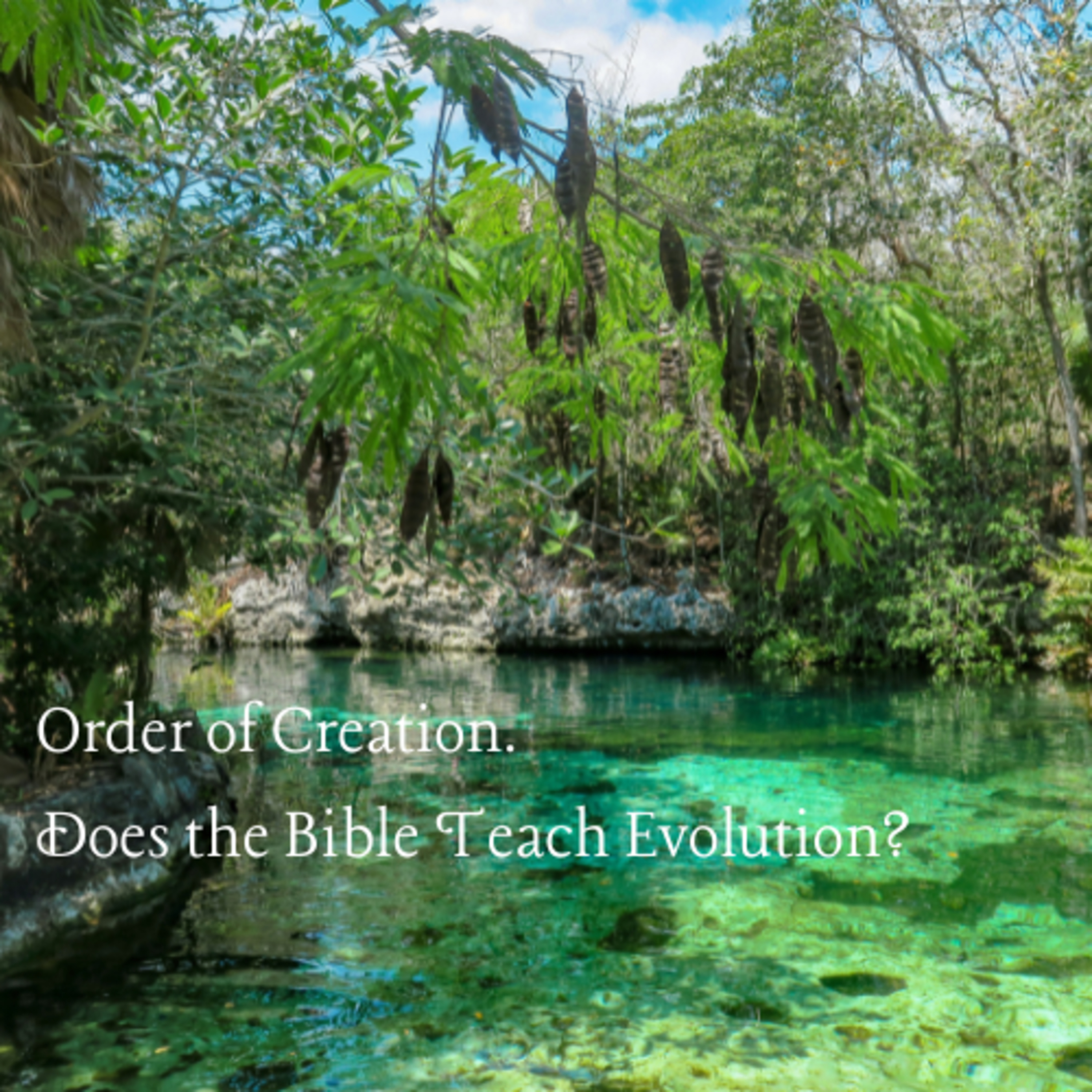 Ep. 10 Order of Creation. Does the Bible teach Evolution? episode artwork