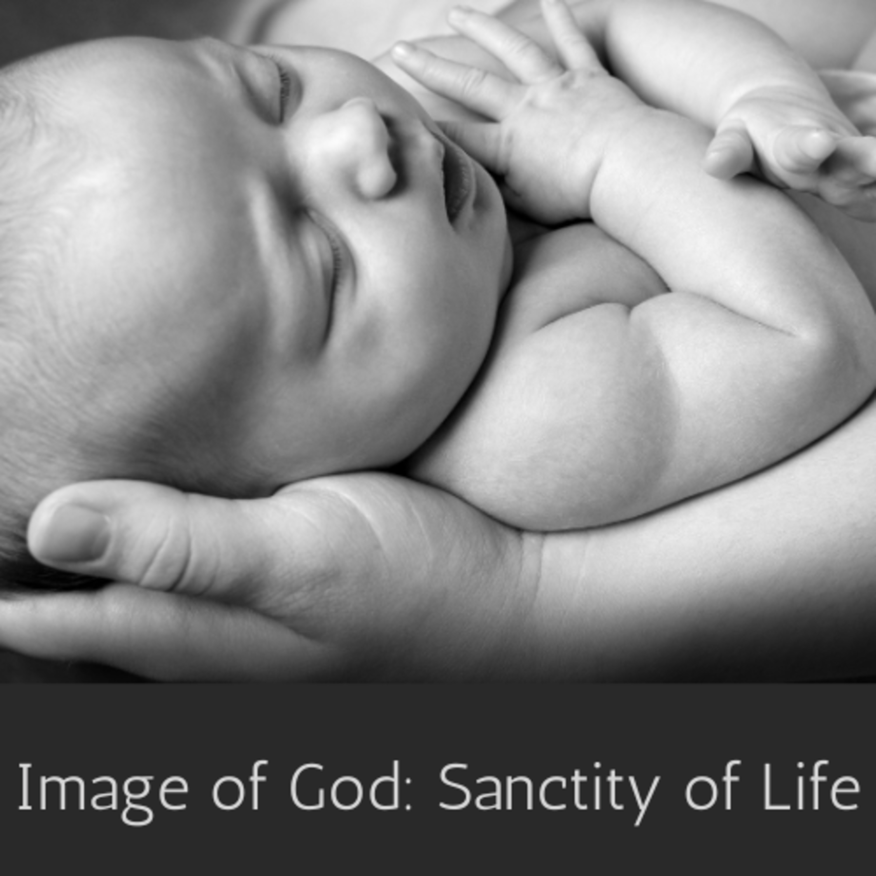 Ep. 12a Image of God: Sanctity of Life episode artwork
