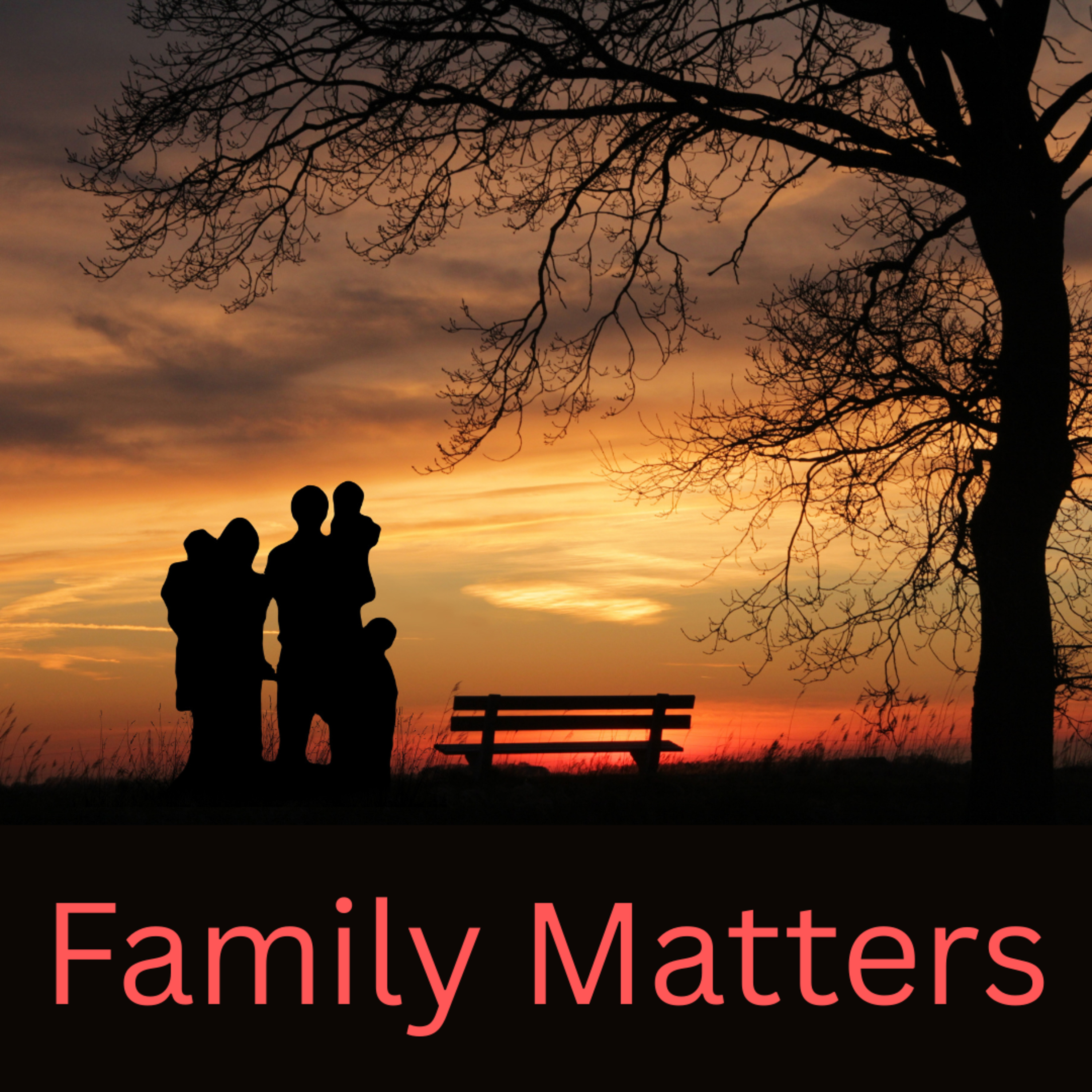 Ep. 16 Family Matters episode artwork
