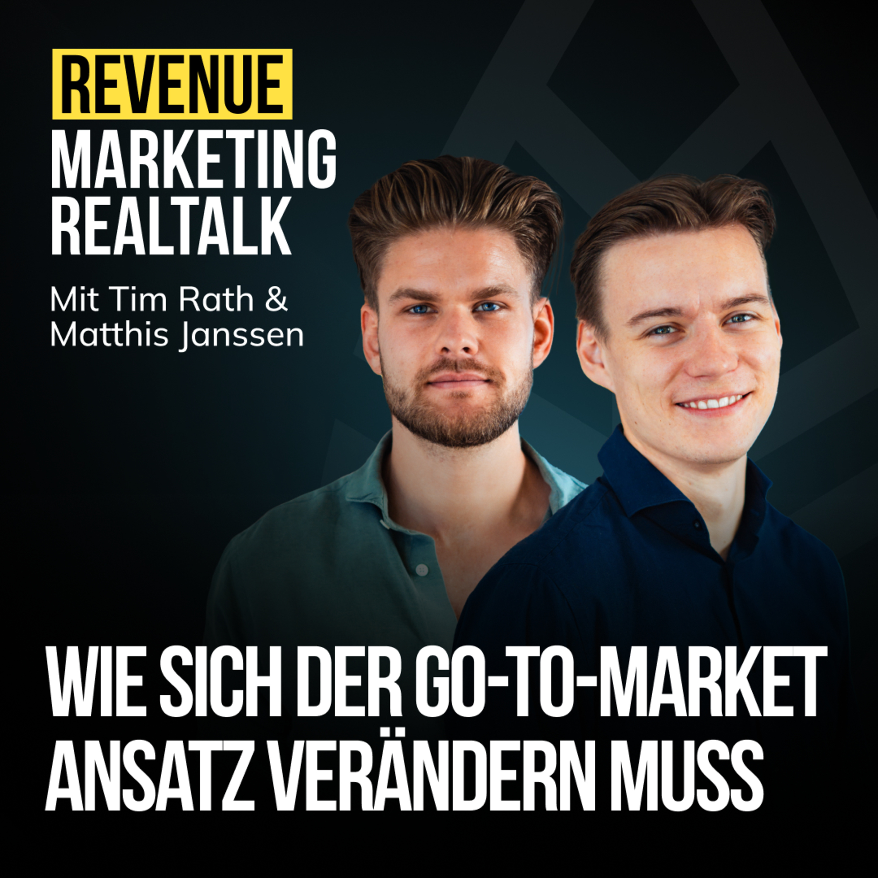  #14 Wie sich der Go-To-Market Ansatz verändern muss episode artwork