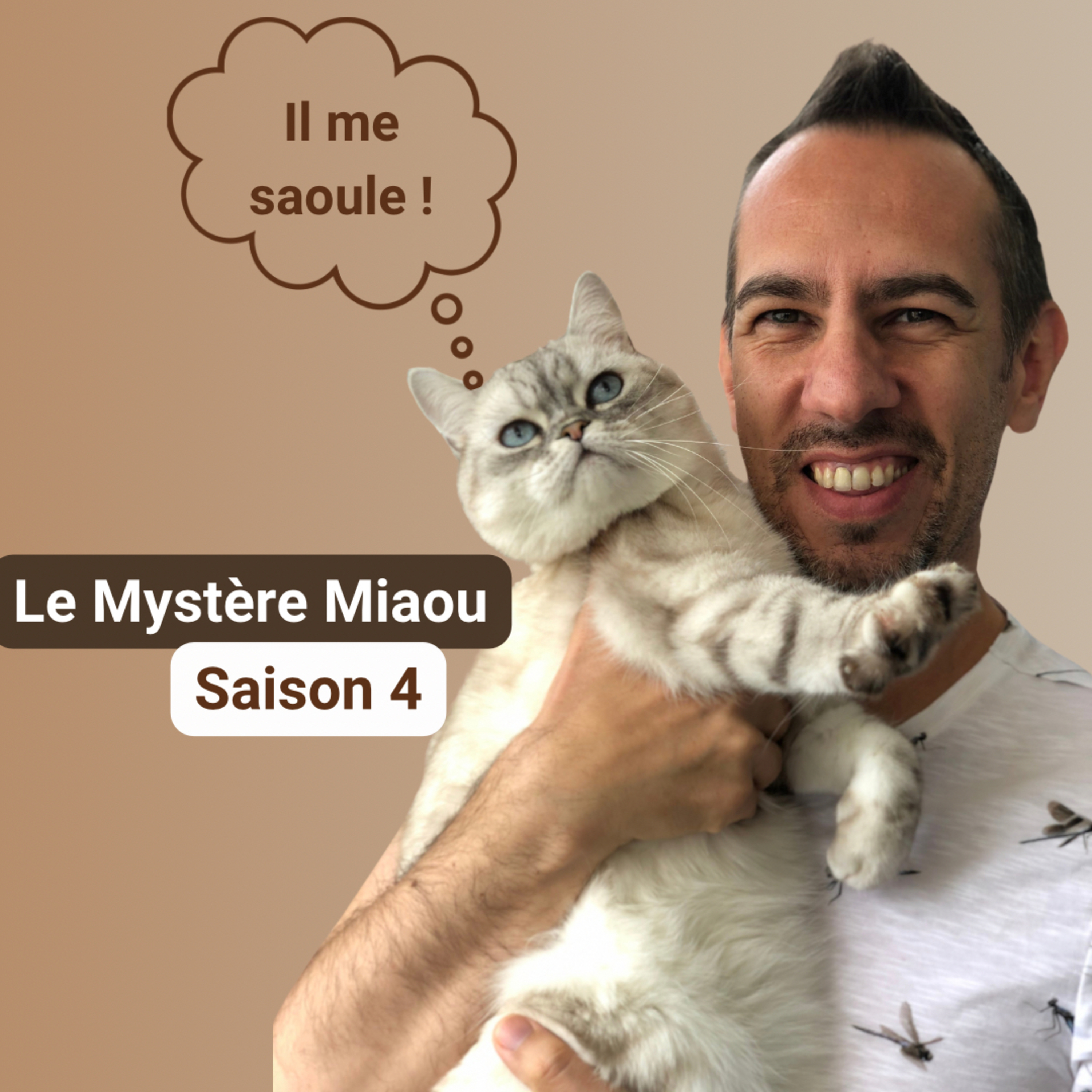 Le Mystère Miaou, un podcast de chats.