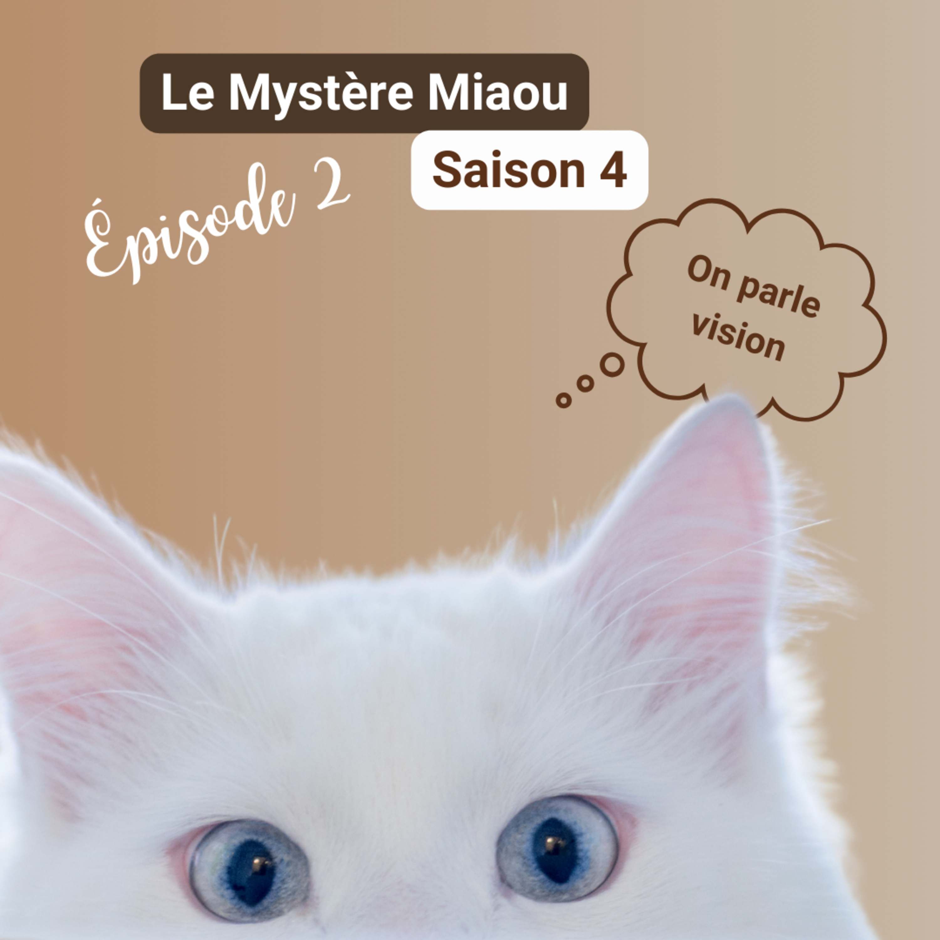 Le Mystère Miaou, un podcast de chats.